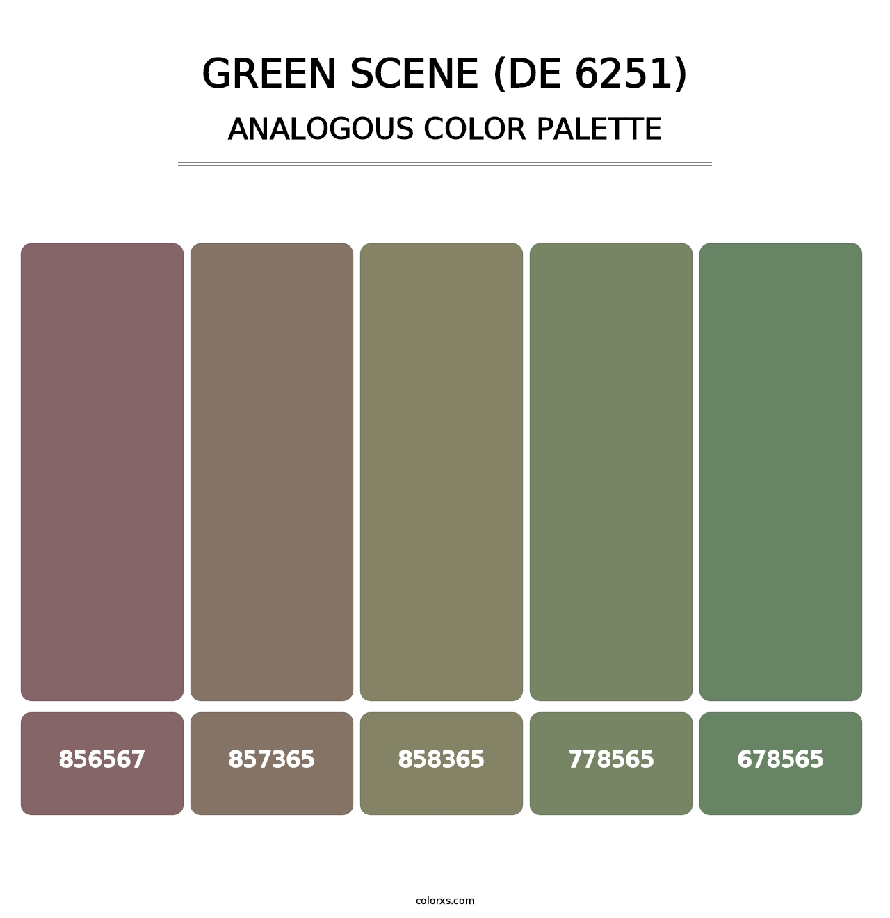 Green Scene (DE 6251) - Analogous Color Palette