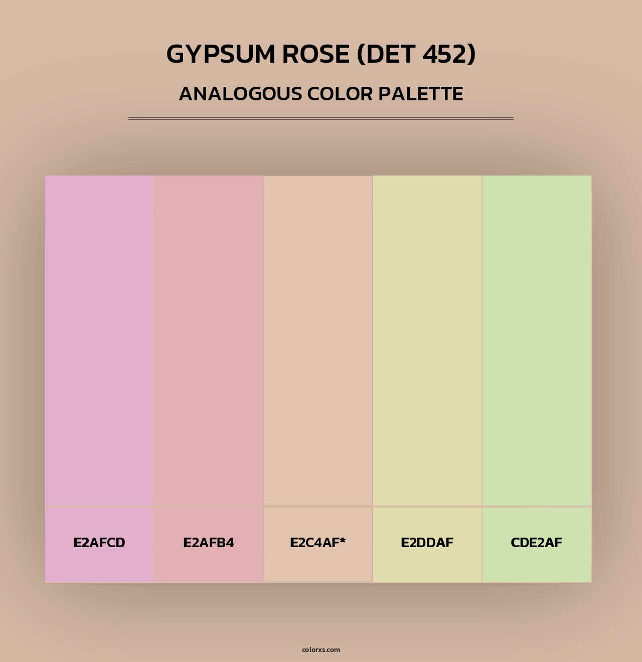 Gypsum Rose (DET 452) - Analogous Color Palette
