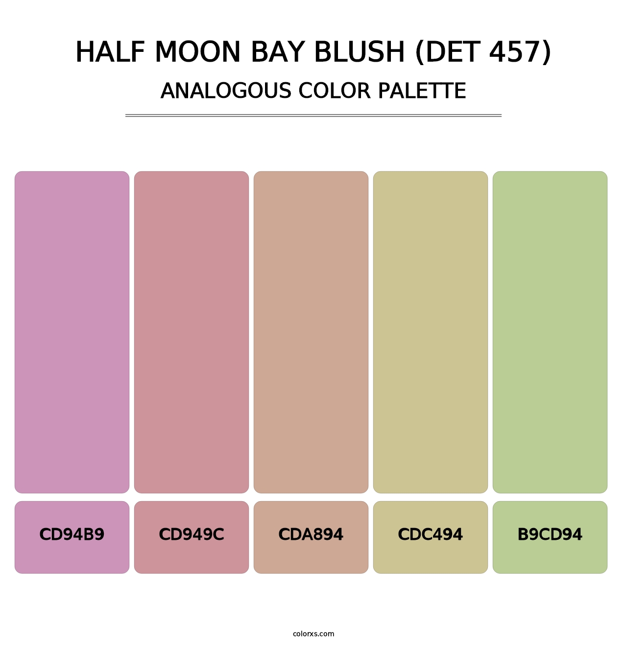 Half Moon Bay Blush (DET 457) - Analogous Color Palette