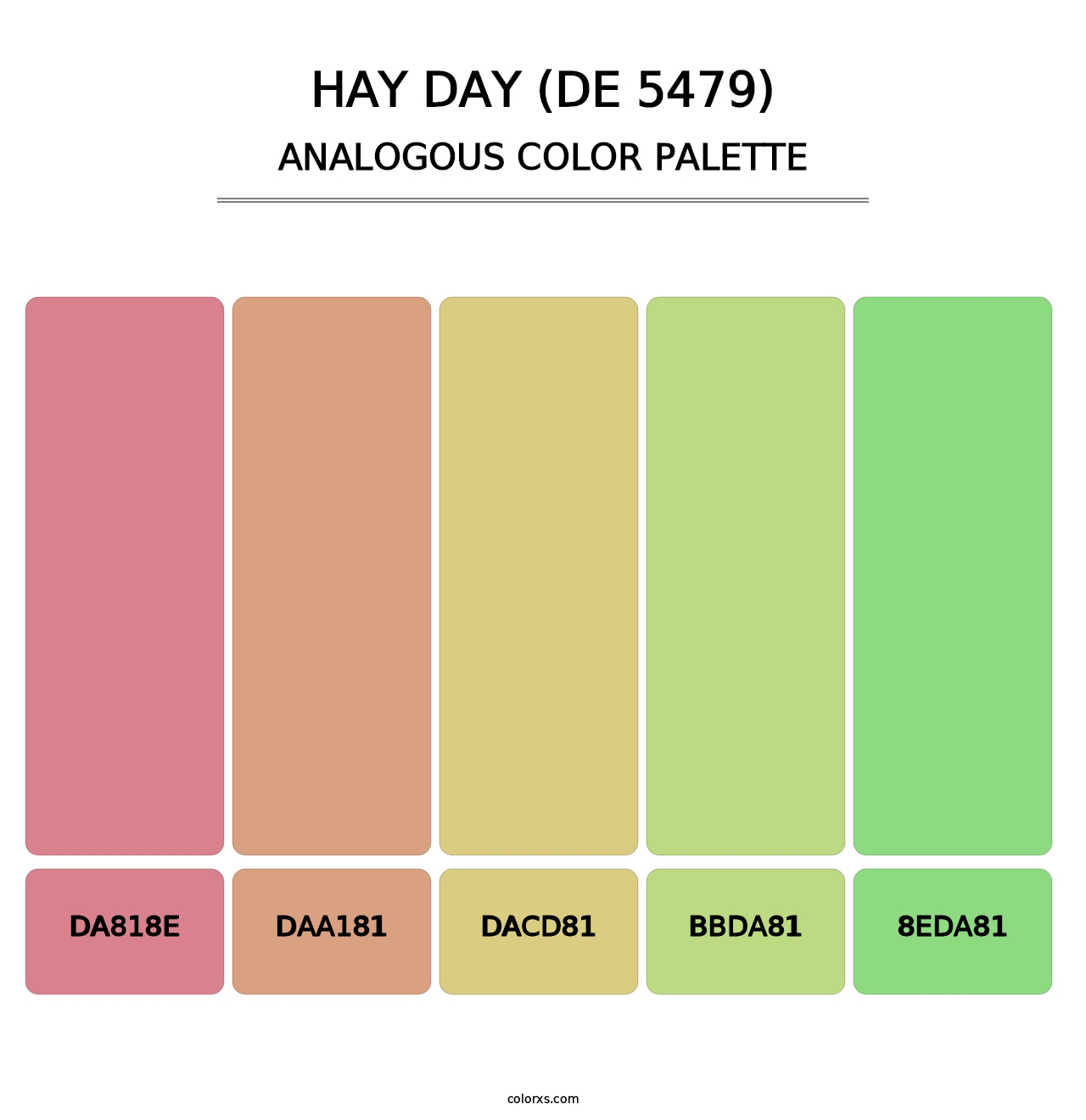 Hay Day (DE 5479) - Analogous Color Palette