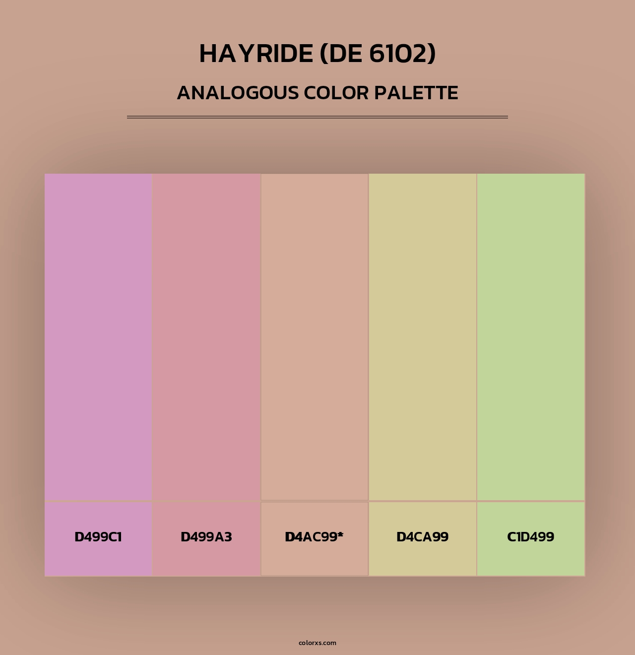 Hayride (DE 6102) - Analogous Color Palette