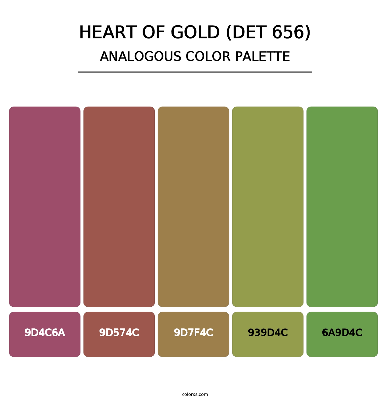 Heart of Gold (DET 656) - Analogous Color Palette