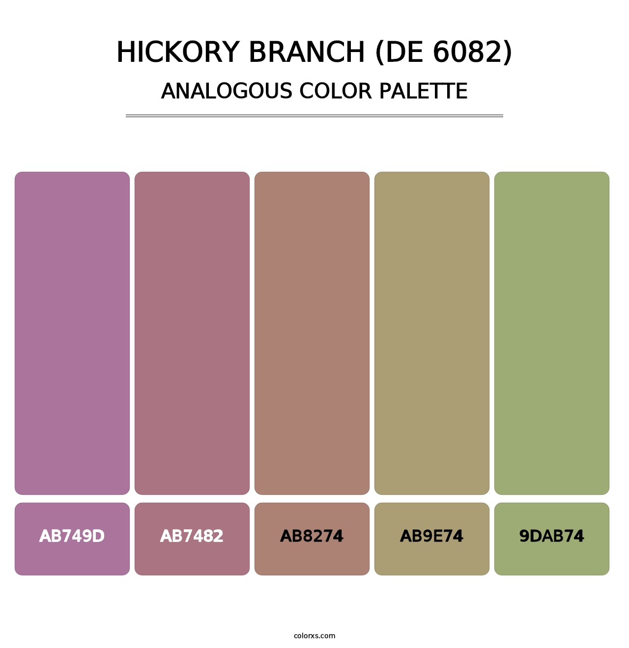 Hickory Branch (DE 6082) - Analogous Color Palette