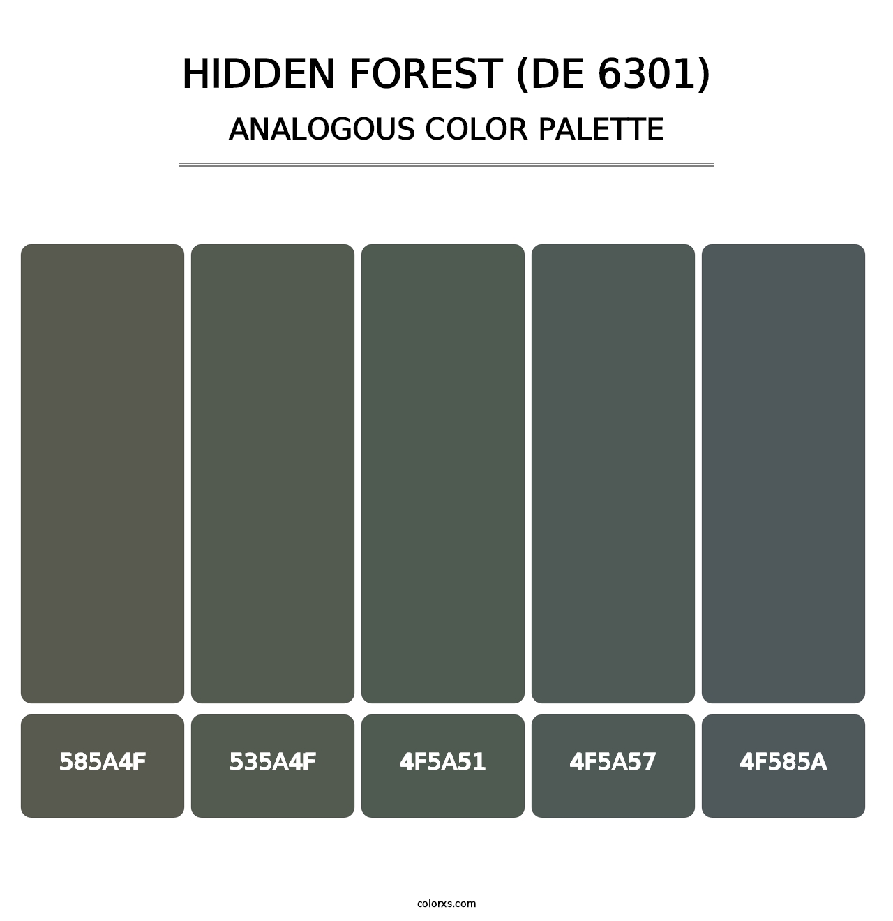 Hidden Forest (DE 6301) - Analogous Color Palette