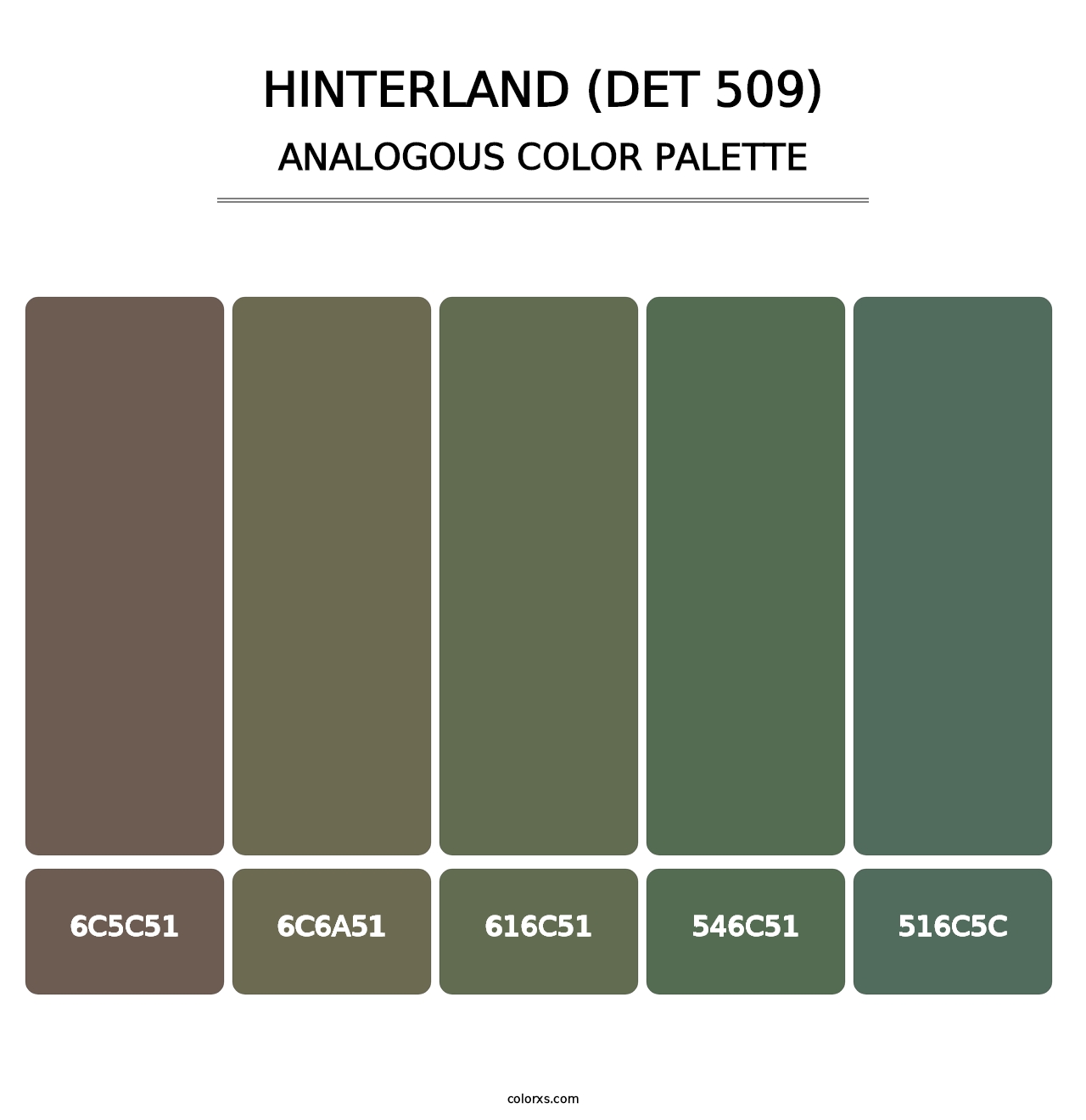Hinterland (DET 509) - Analogous Color Palette