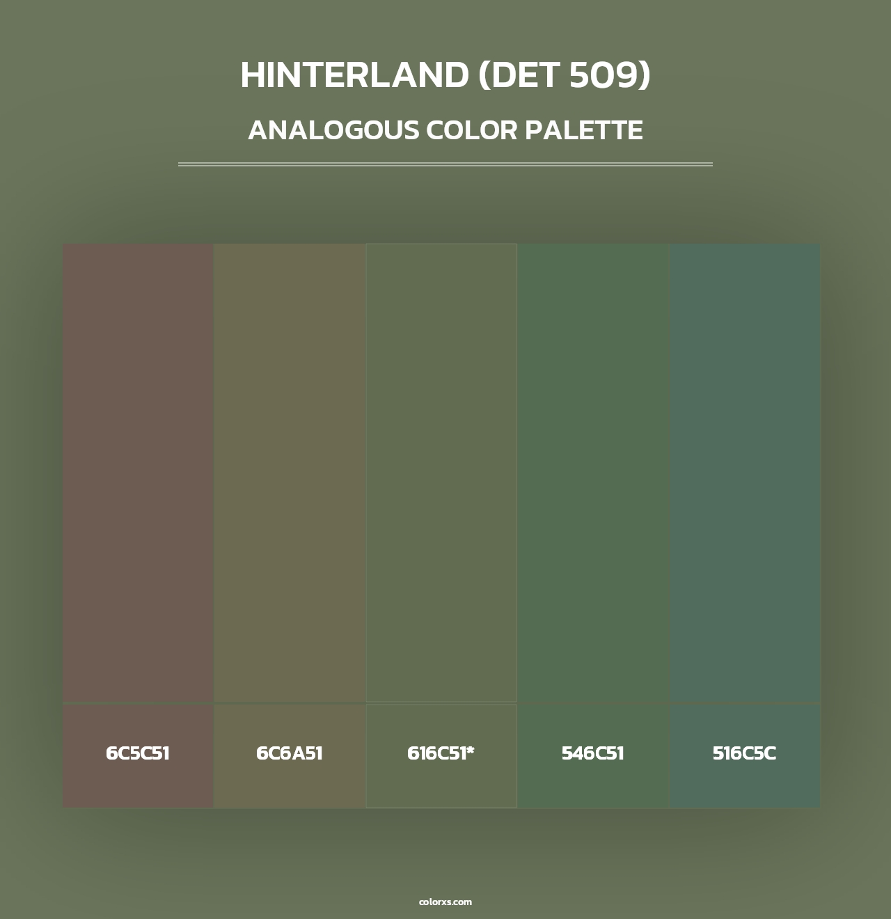 Hinterland (DET 509) - Analogous Color Palette