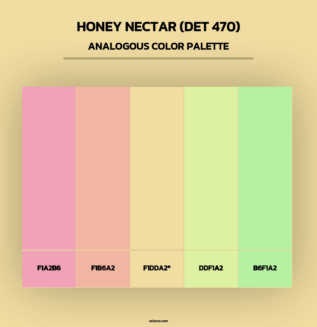 Honey Nectar (DET 470) - Analogous Color Palette