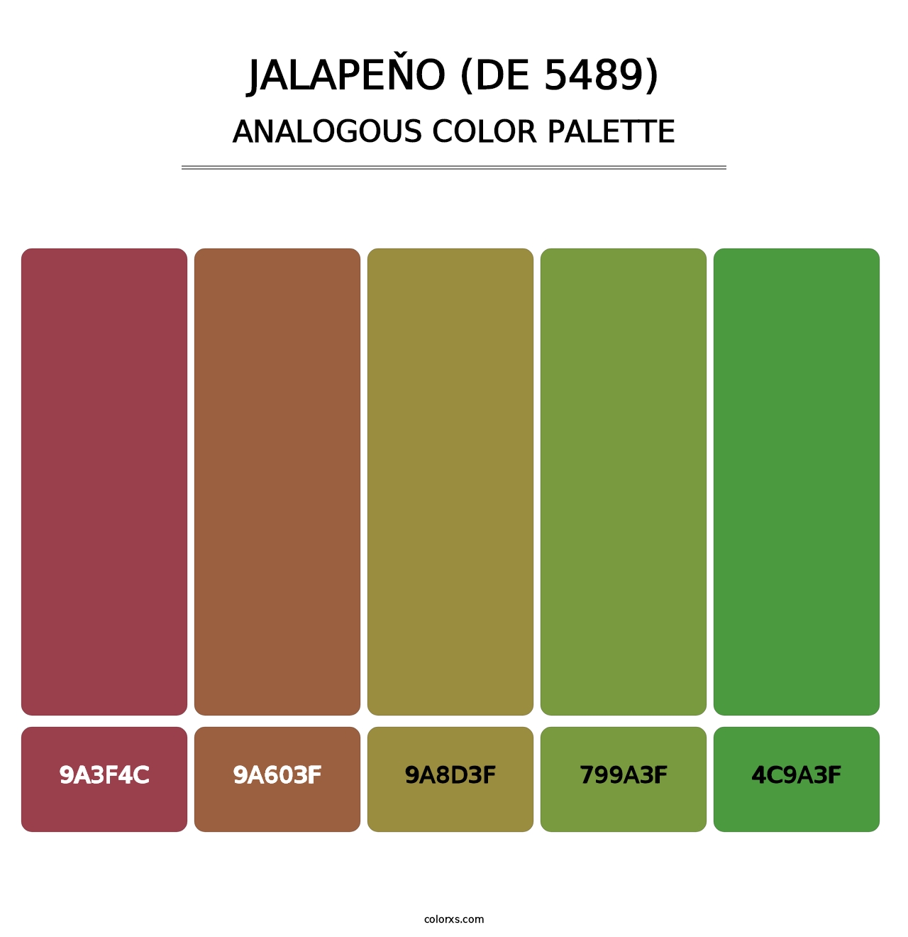 Jalapeňo (DE 5489) - Analogous Color Palette