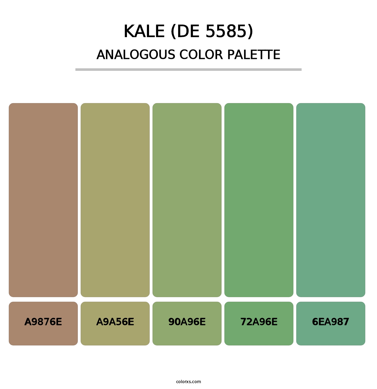 Kale (DE 5585) - Analogous Color Palette