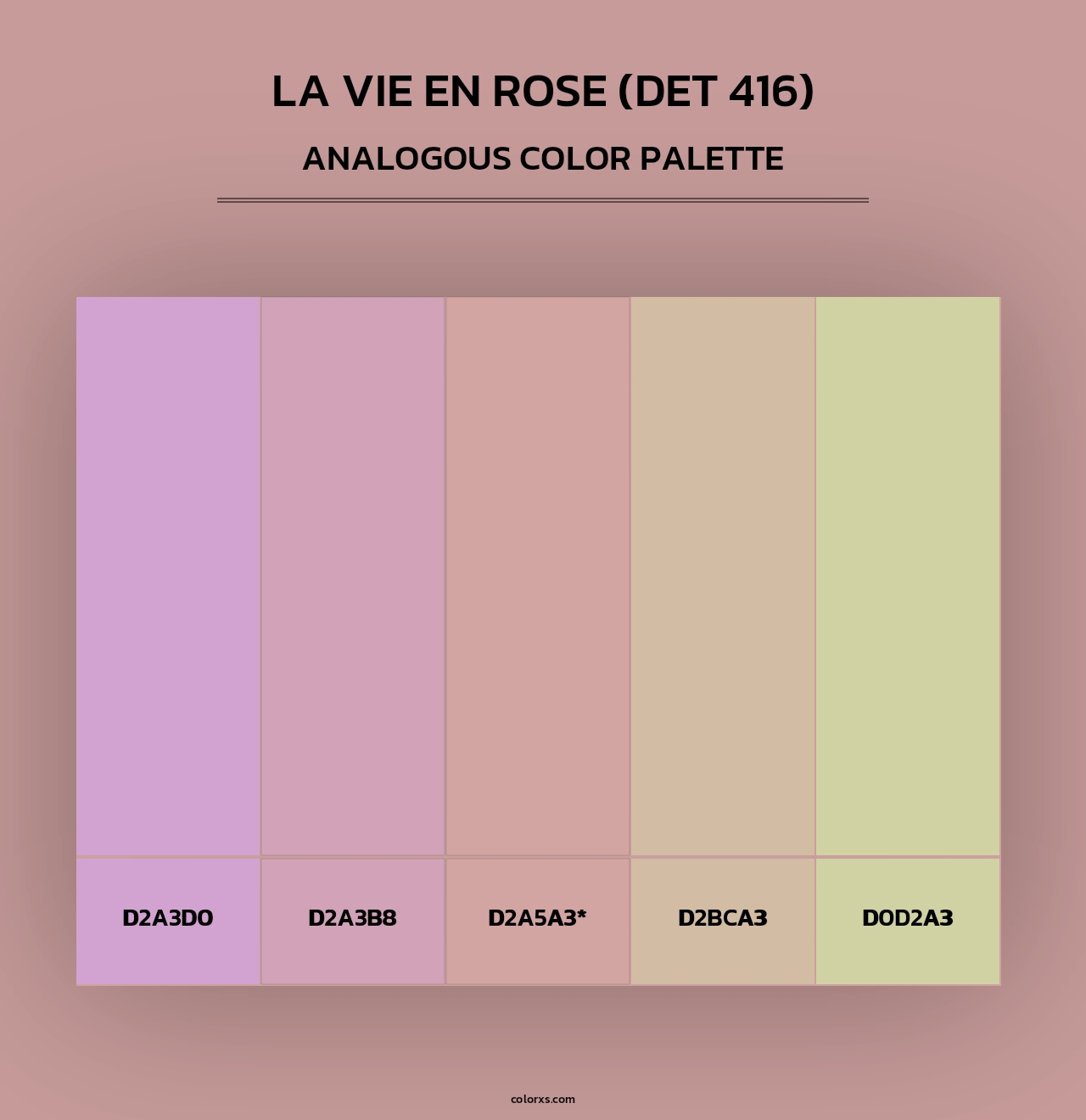 La Vie en Rose (DET 416) - Analogous Color Palette