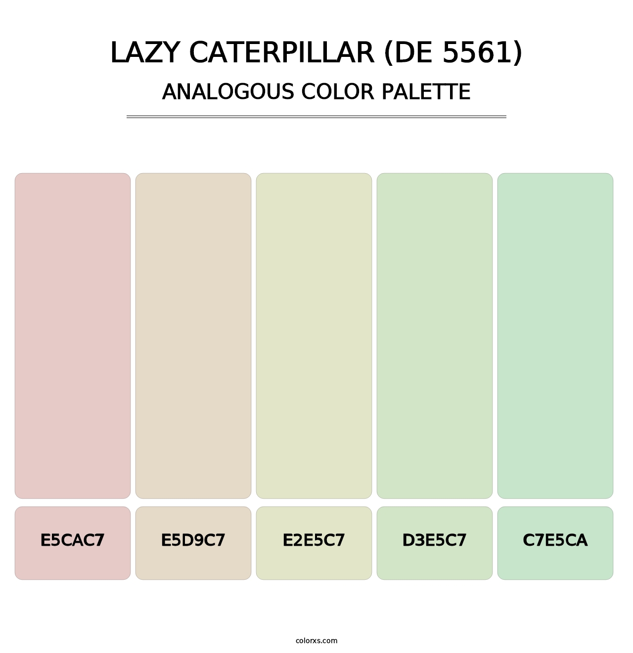 Lazy Caterpillar (DE 5561) - Analogous Color Palette