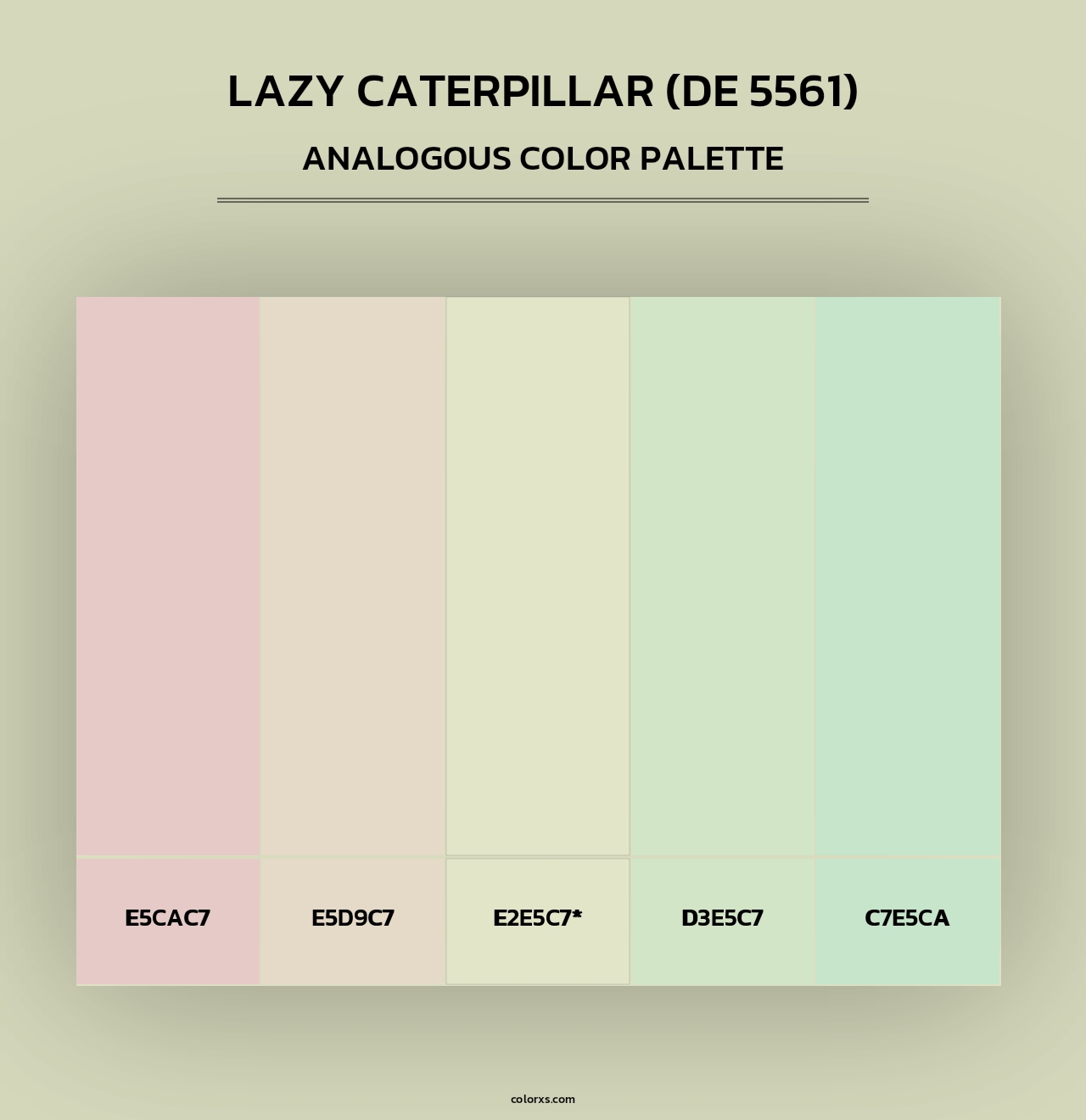 Lazy Caterpillar (DE 5561) - Analogous Color Palette