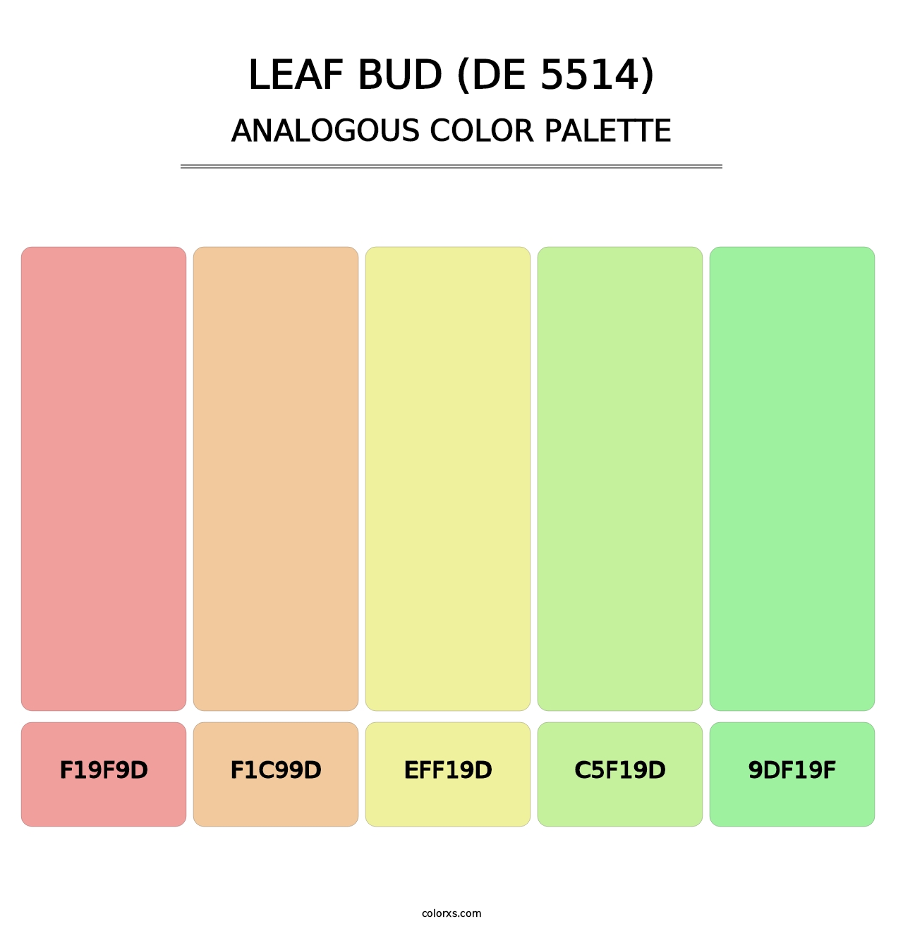 Leaf Bud (DE 5514) - Analogous Color Palette