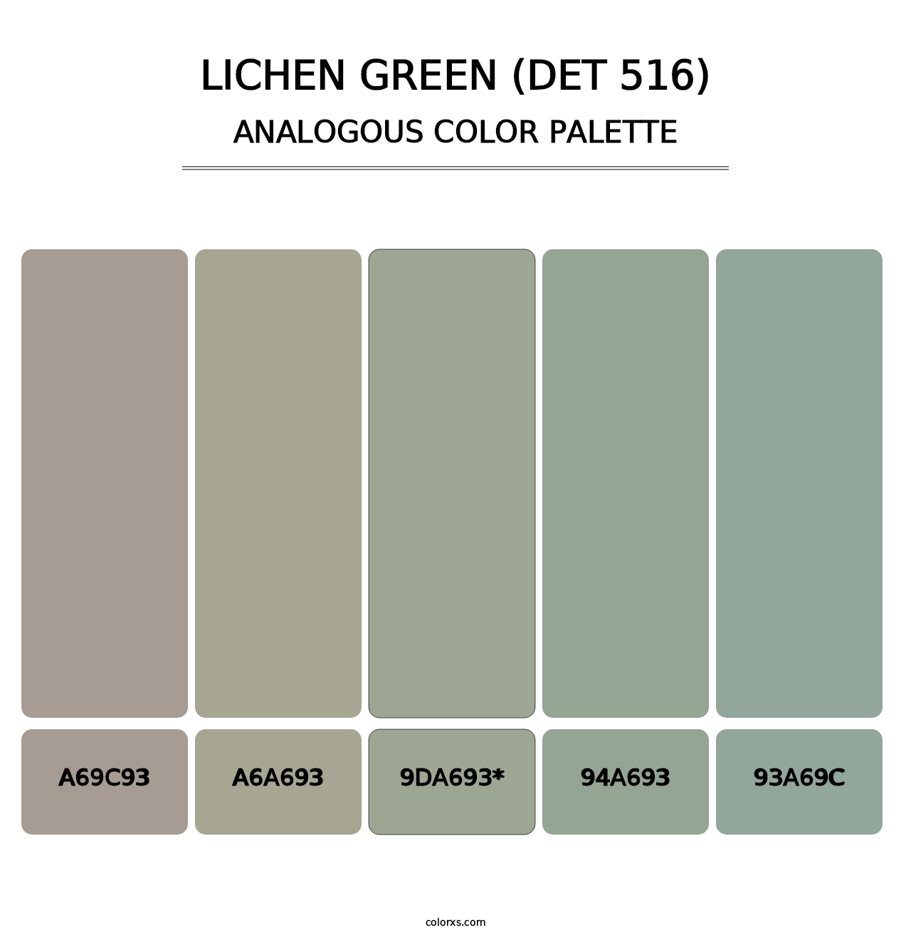 Lichen Green (DET 516) - Analogous Color Palette