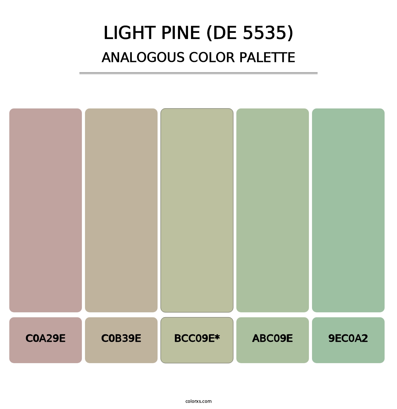 Light Pine (DE 5535) - Analogous Color Palette