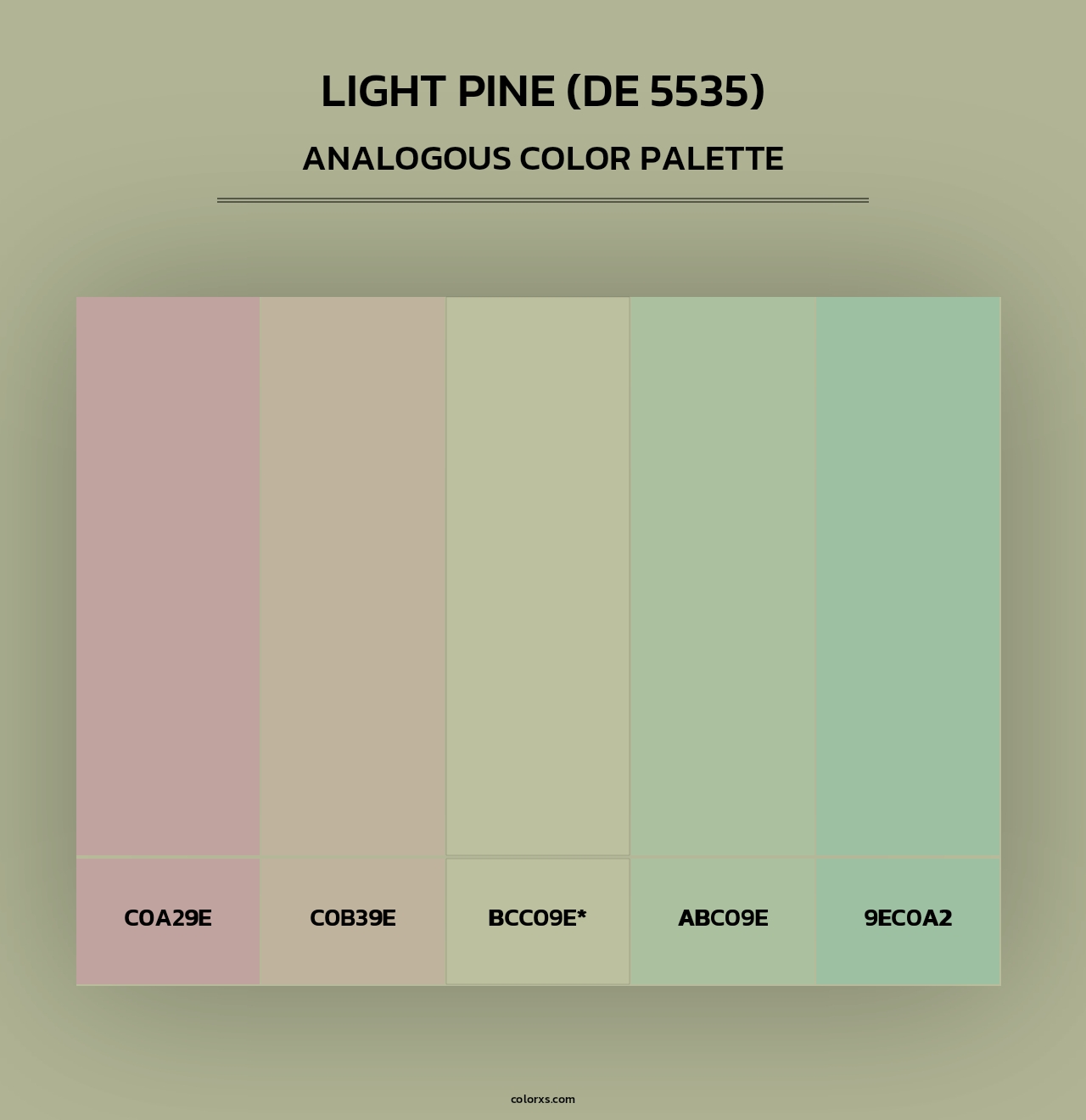 Light Pine (DE 5535) - Analogous Color Palette
