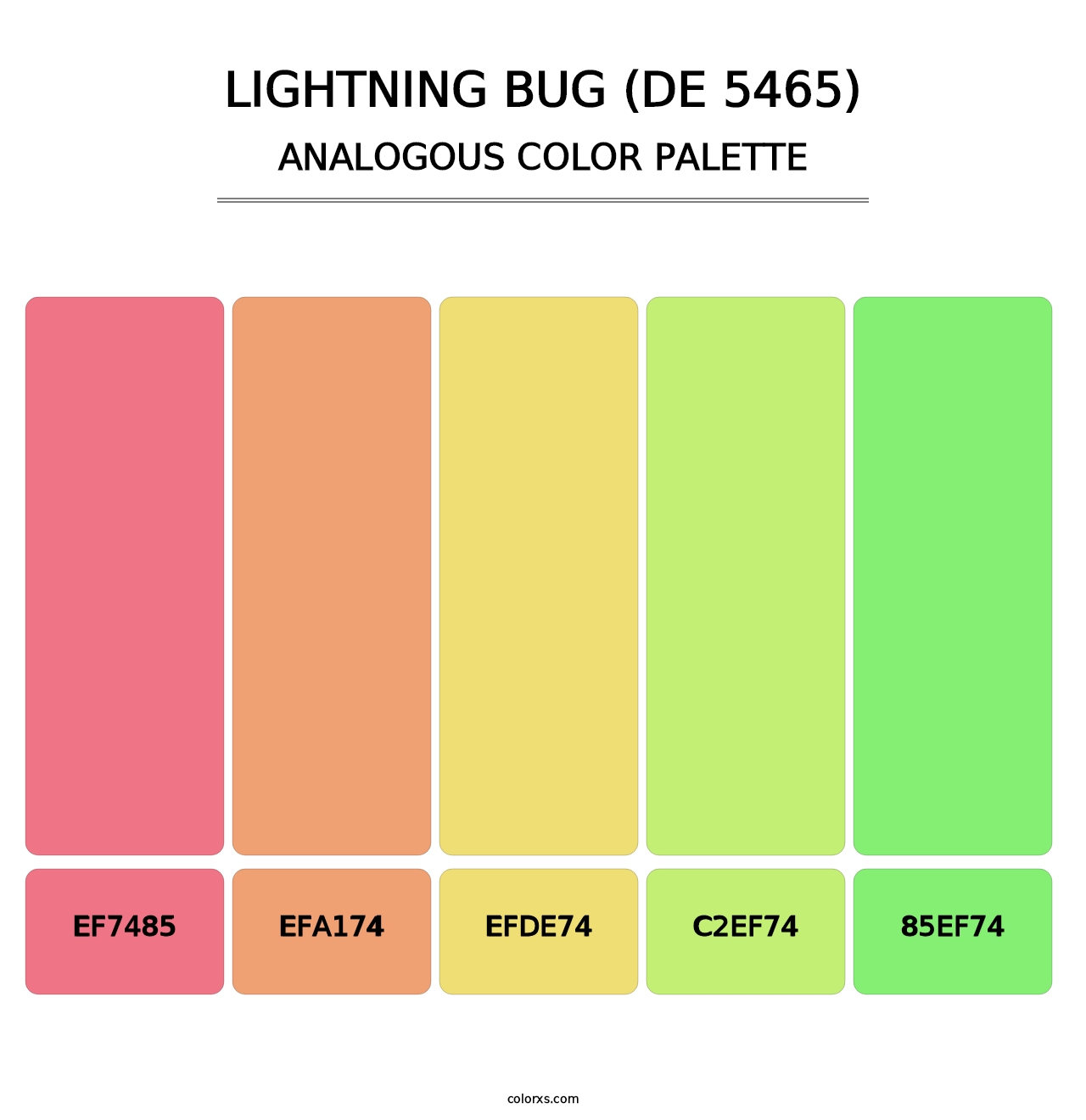 Lightning Bug (DE 5465) - Analogous Color Palette