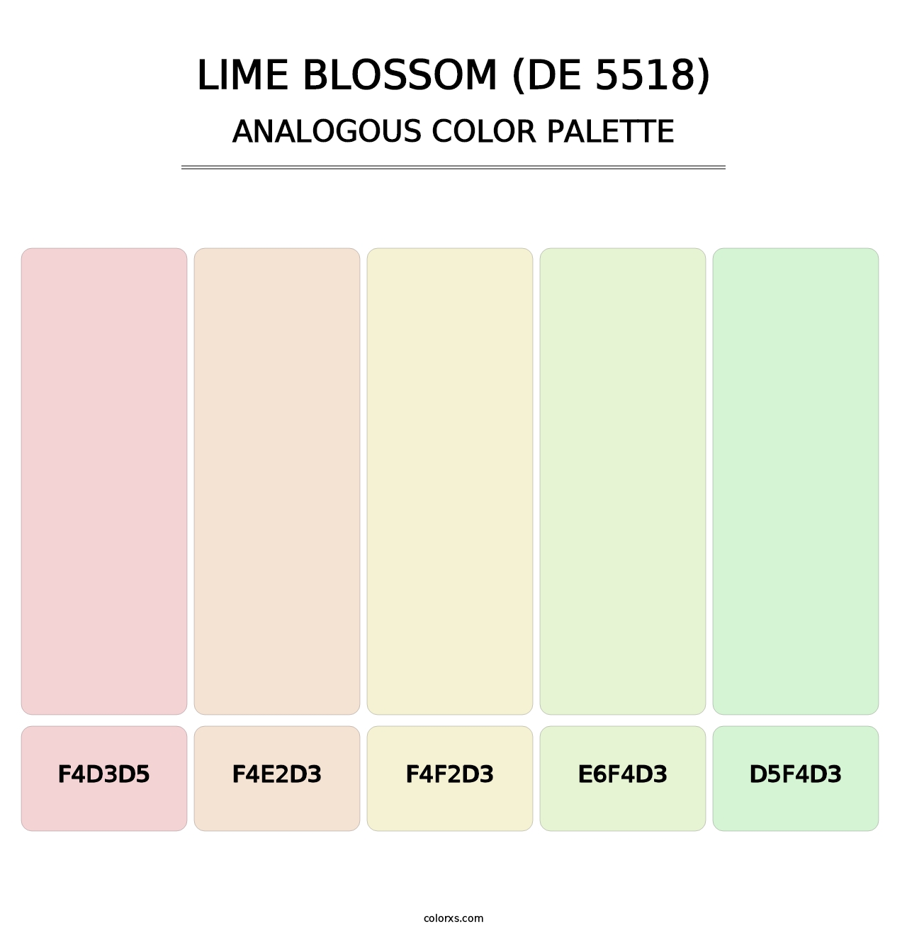 Lime Blossom (DE 5518) - Analogous Color Palette