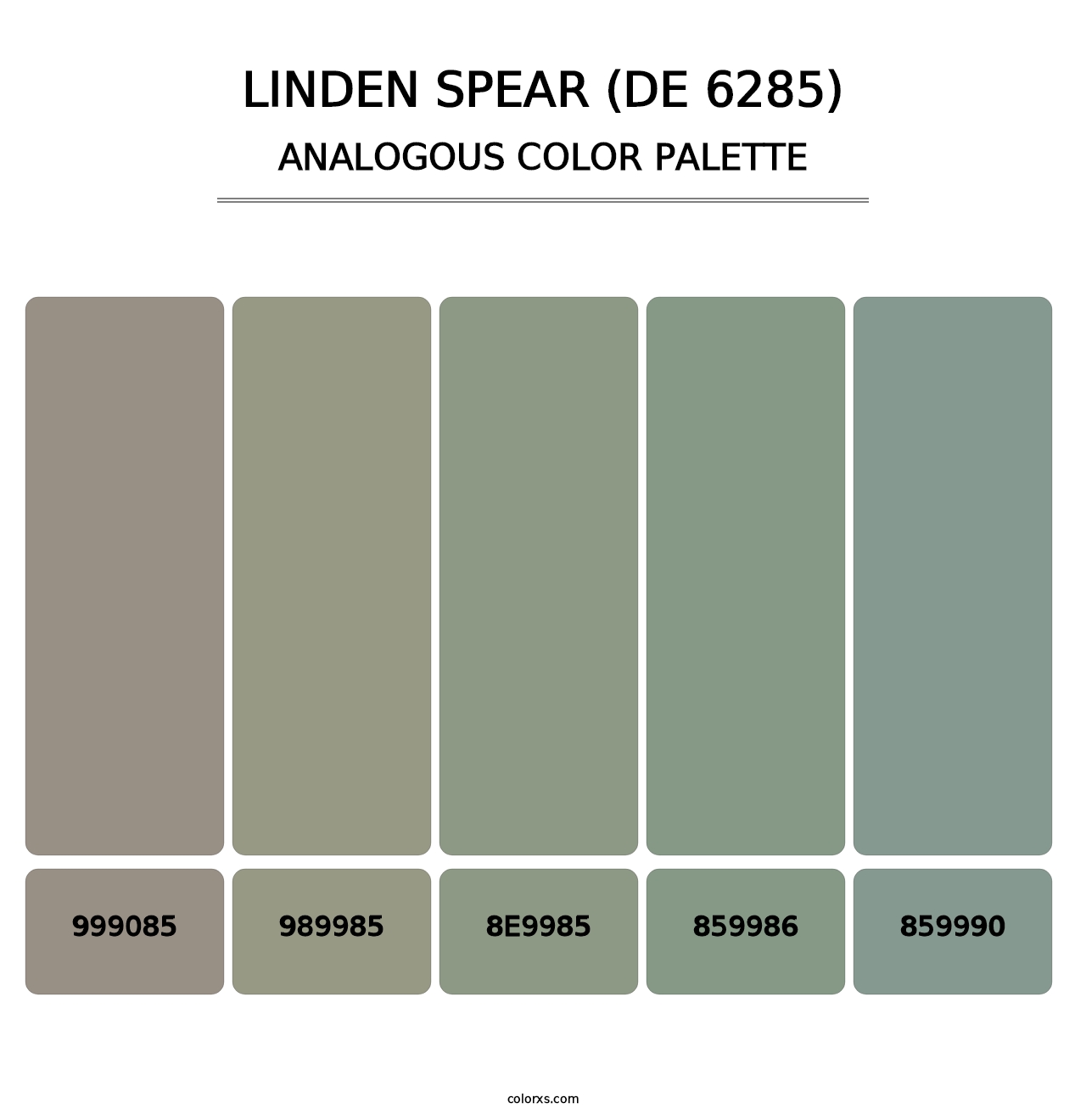 Linden Spear (DE 6285) - Analogous Color Palette