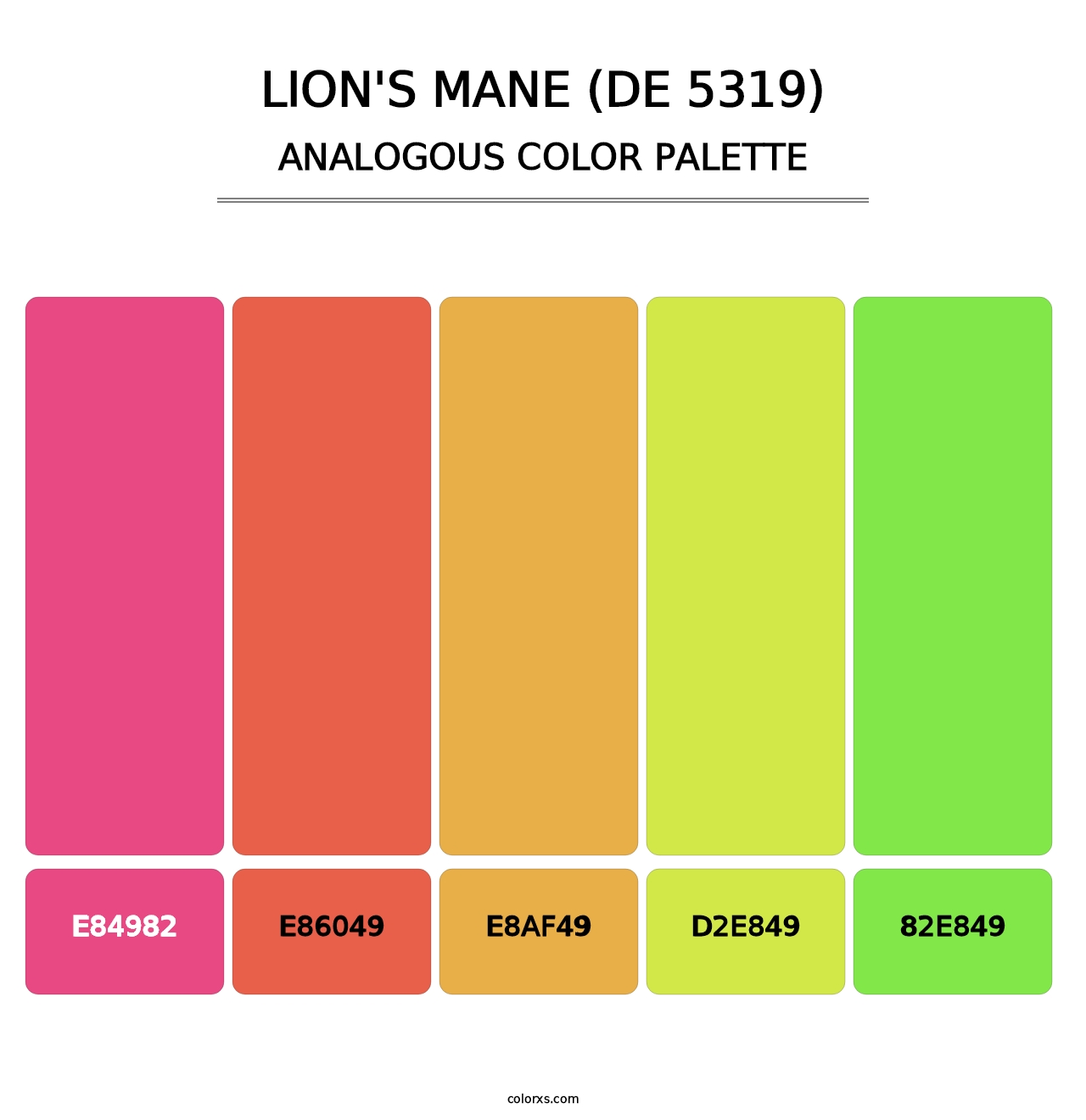 Lion's Mane (DE 5319) - Analogous Color Palette