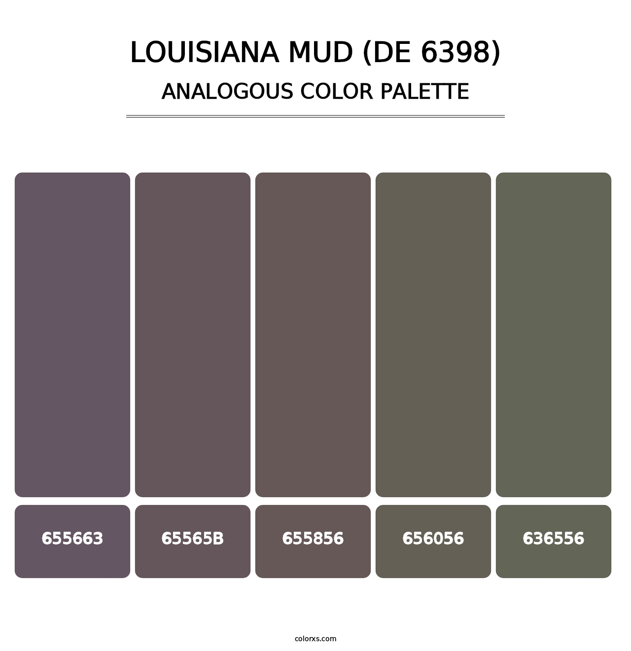 Louisiana Mud (DE 6398) - Analogous Color Palette
