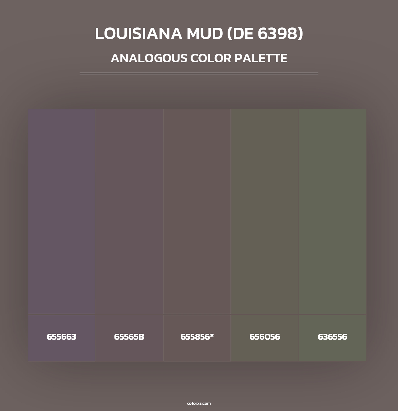 Louisiana Mud (DE 6398) - Analogous Color Palette