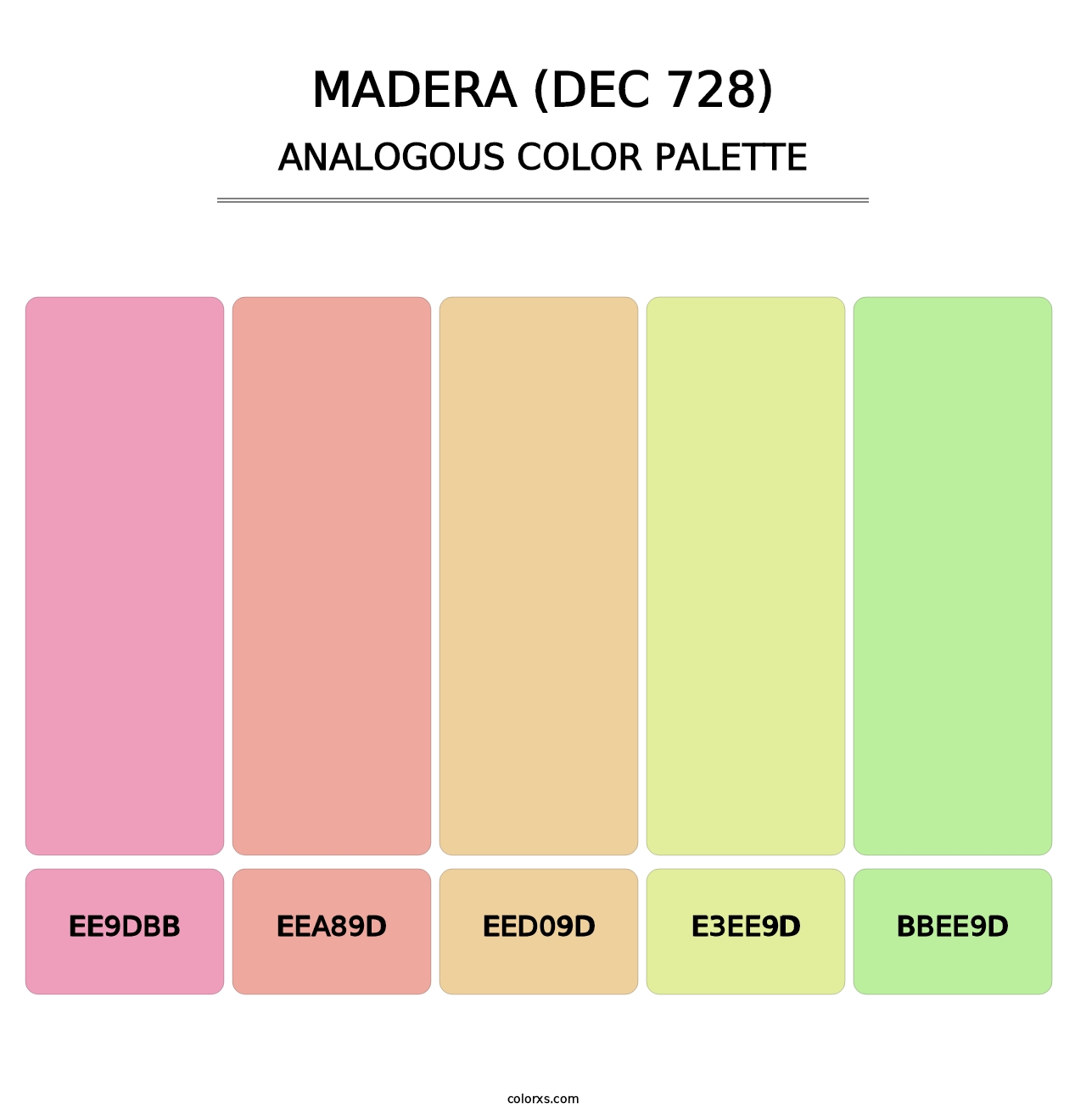 Madera (DEC 728) - Analogous Color Palette