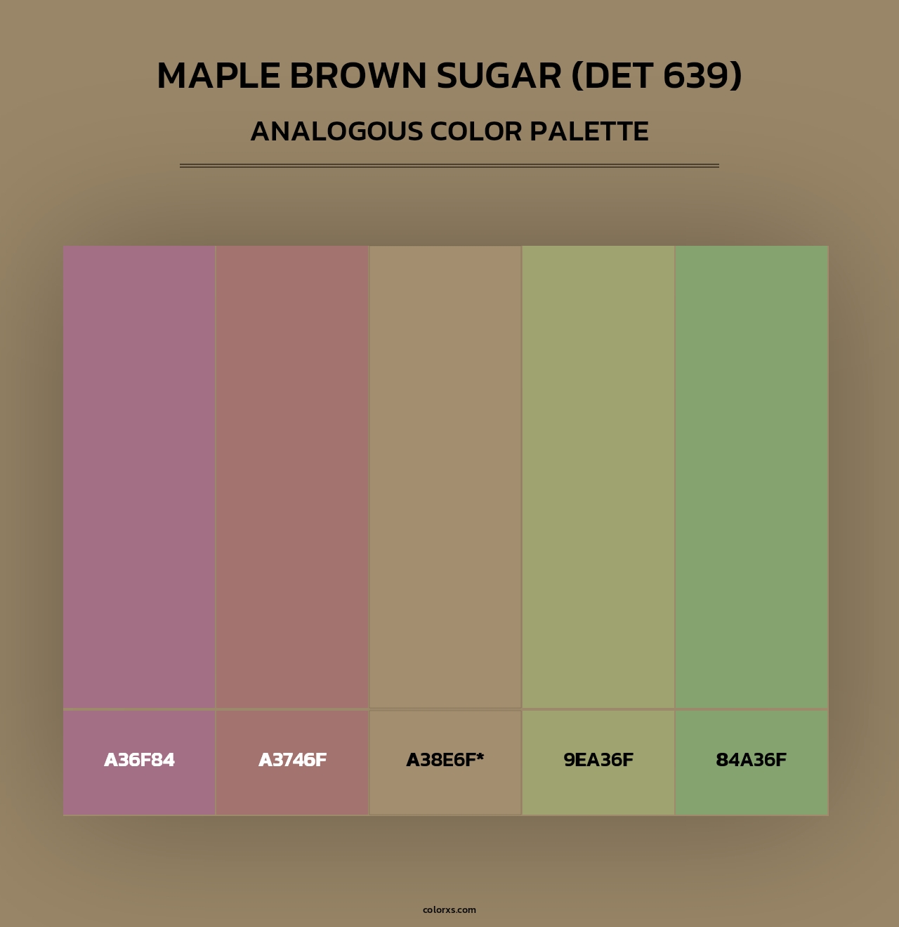 Maple Brown Sugar (DET 639) - Analogous Color Palette