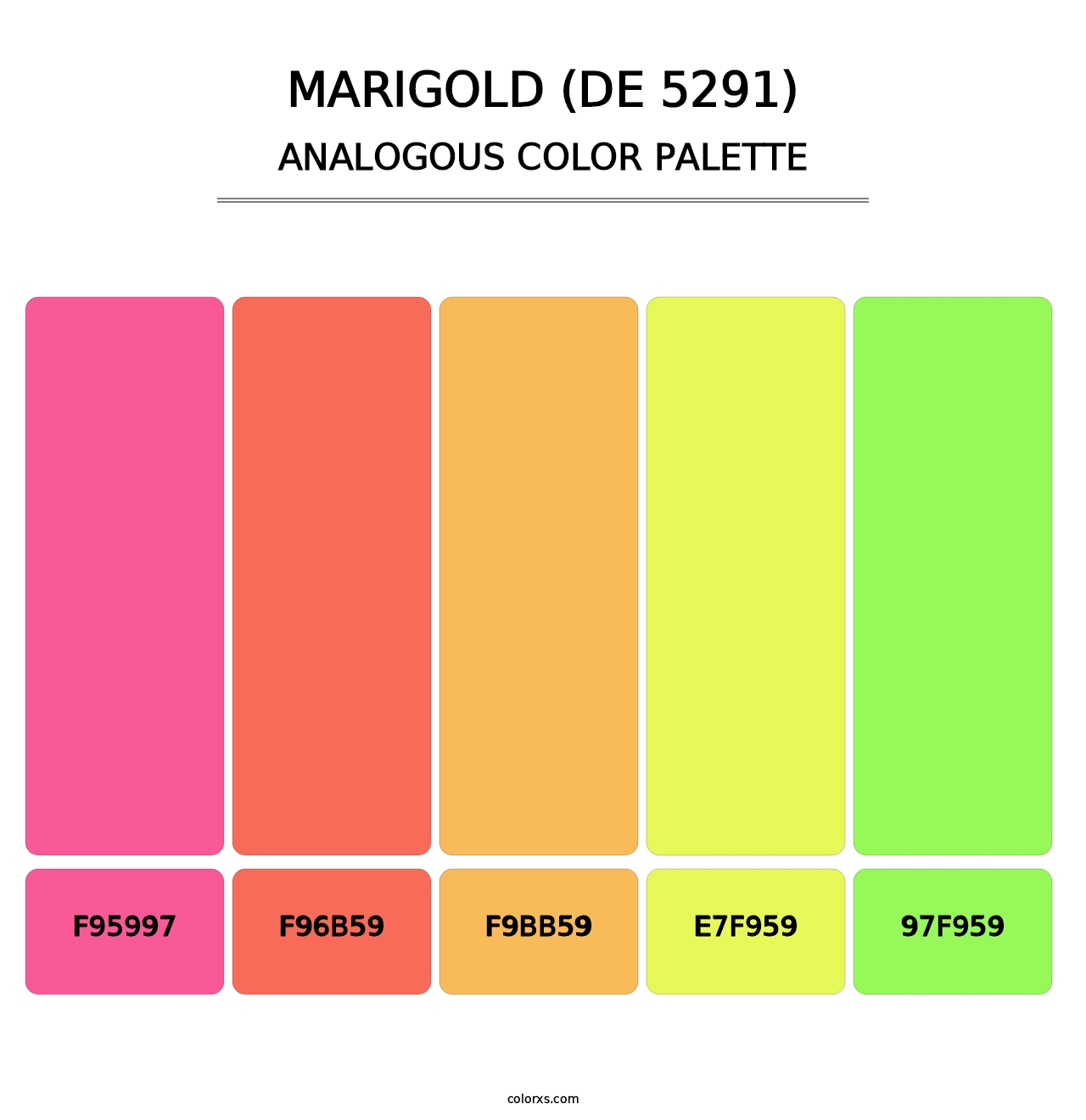 Marigold (DE 5291) - Analogous Color Palette