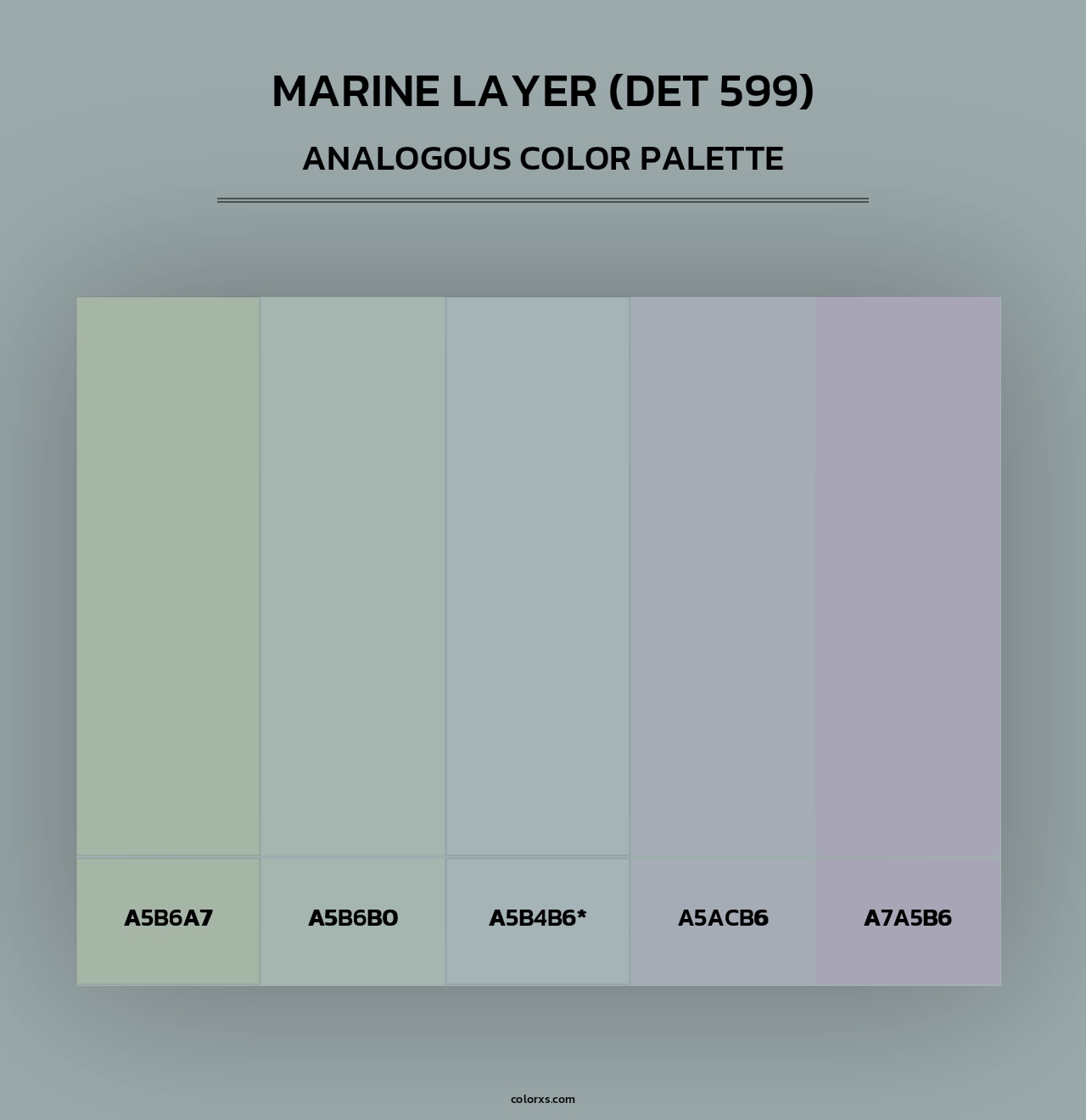Marine Layer (DET 599) - Analogous Color Palette