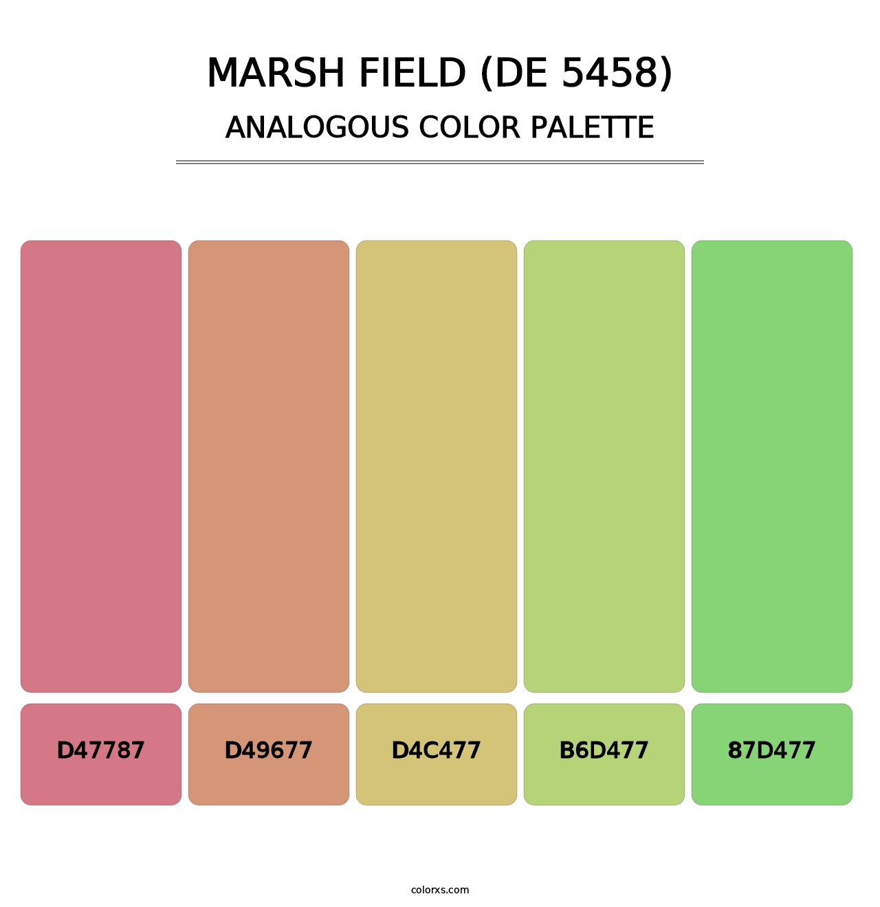Marsh Field (DE 5458) - Analogous Color Palette