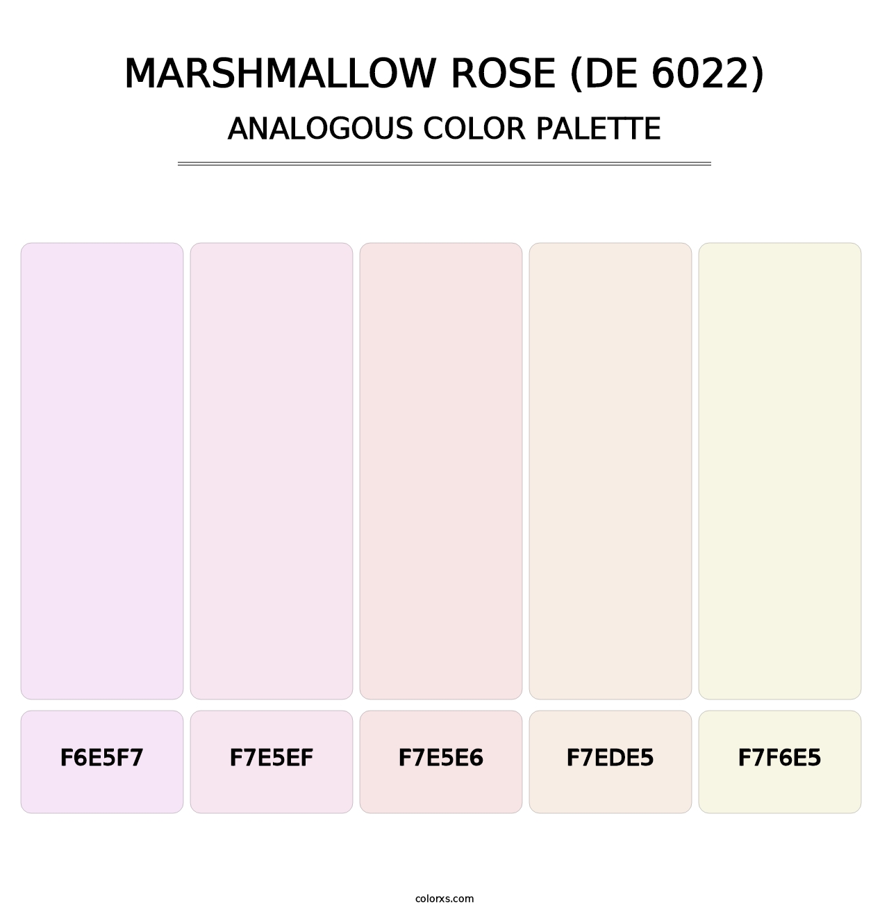 Marshmallow Rose (DE 6022) - Analogous Color Palette