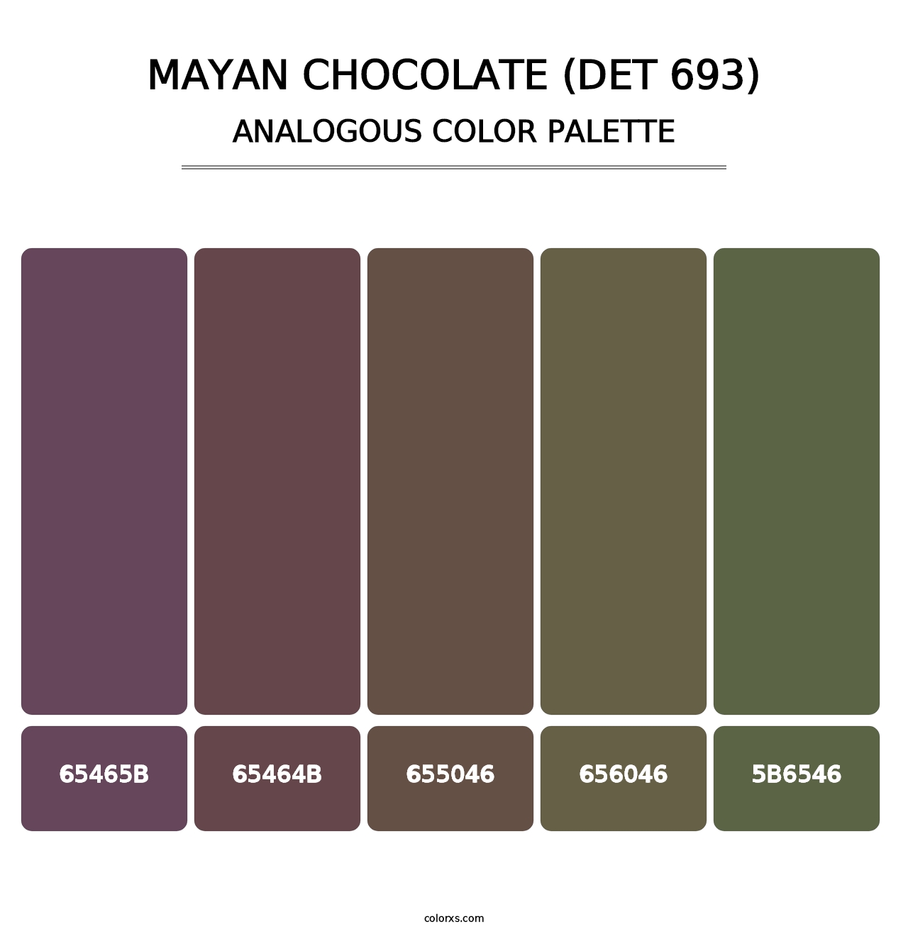 Mayan Chocolate (DET 693) - Analogous Color Palette
