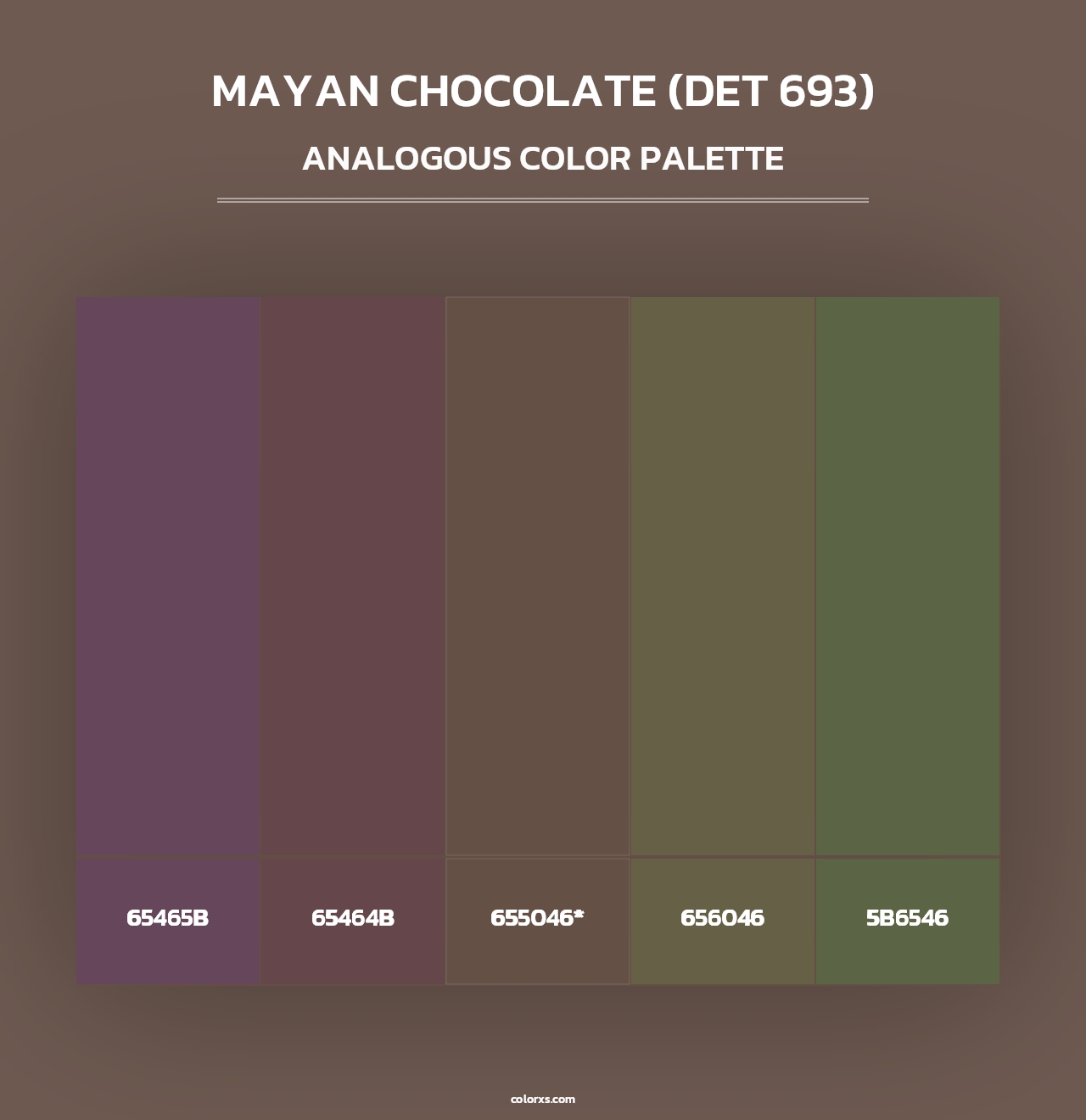 Mayan Chocolate (DET 693) - Analogous Color Palette