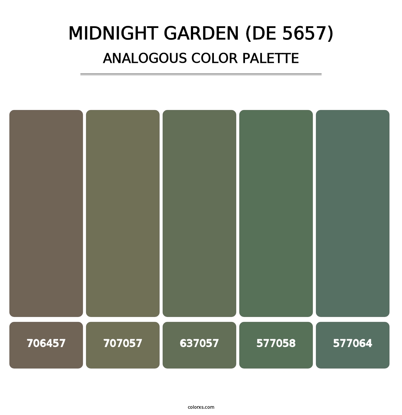 Midnight Garden (DE 5657) - Analogous Color Palette