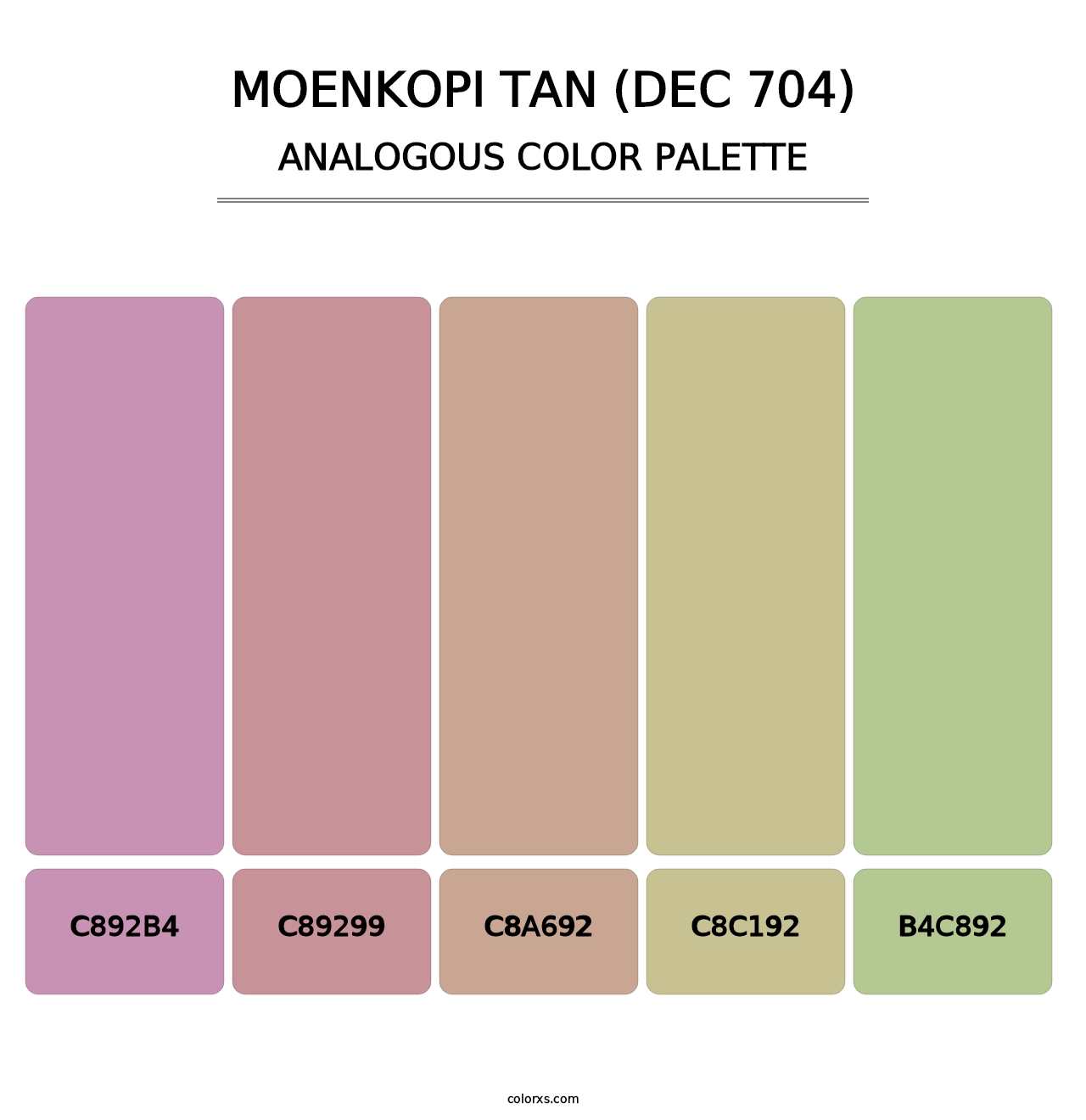 Moenkopi Tan (DEC 704) - Analogous Color Palette
