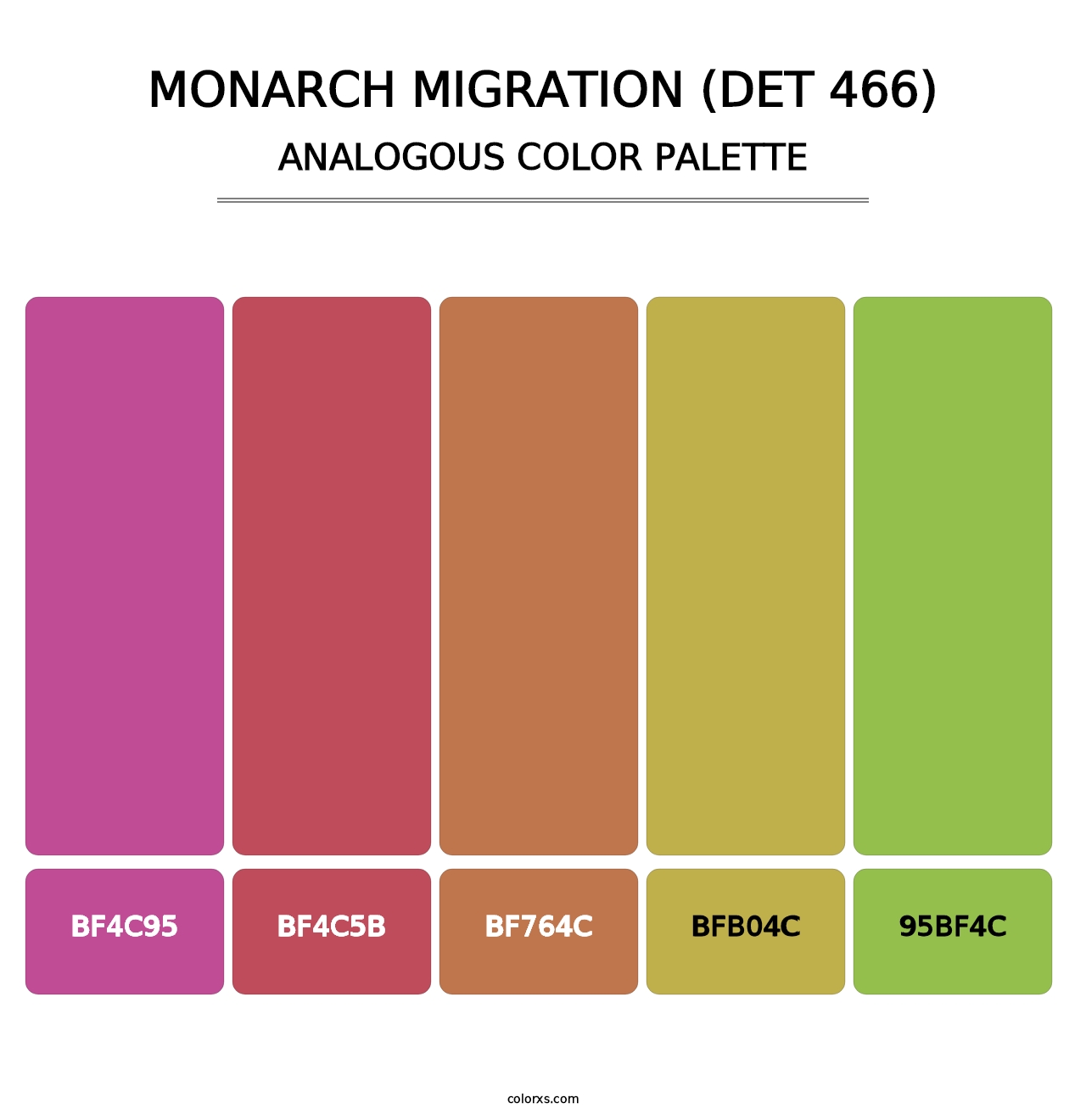 Monarch Migration (DET 466) - Analogous Color Palette