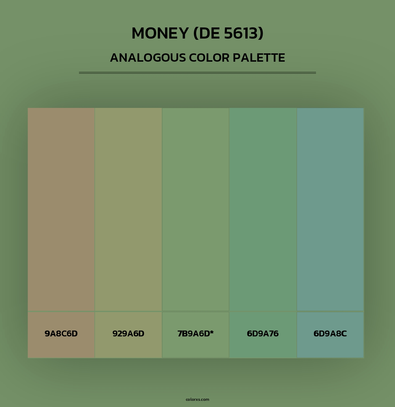 Money (DE 5613) - Analogous Color Palette