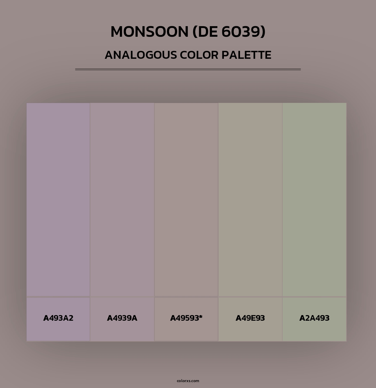 Monsoon (DE 6039) - Analogous Color Palette