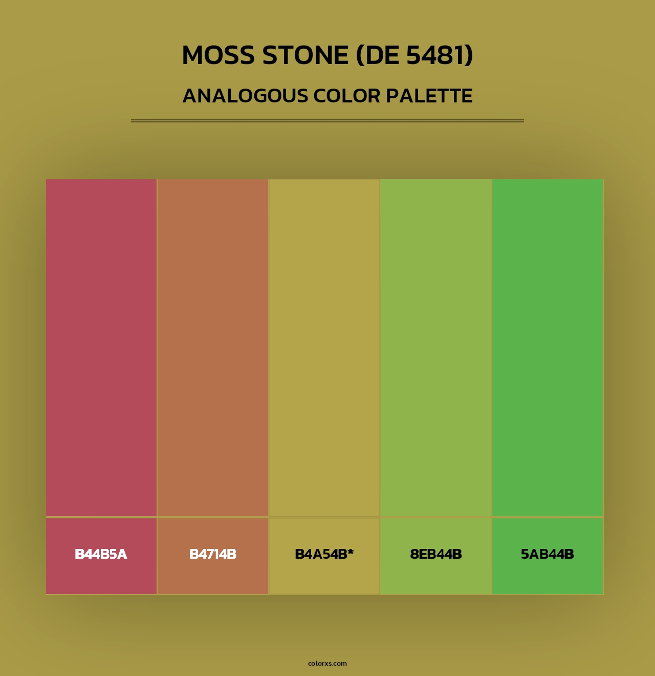 Moss Stone (DE 5481) - Analogous Color Palette