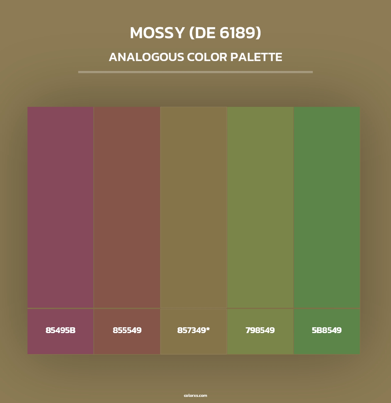Mossy (DE 6189) - Analogous Color Palette