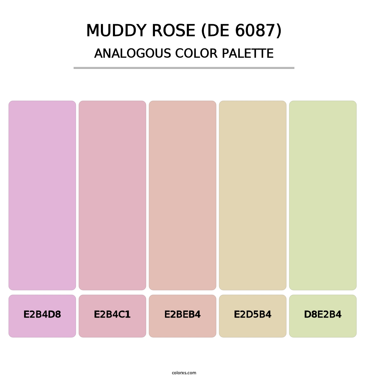 Muddy Rose (DE 6087) - Analogous Color Palette