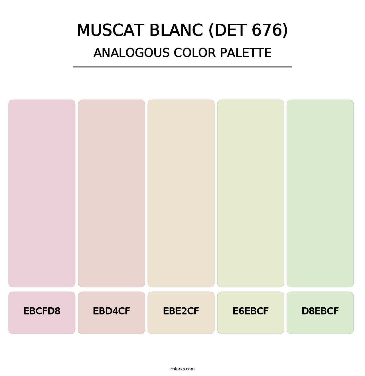 Muscat Blanc (DET 676) - Analogous Color Palette