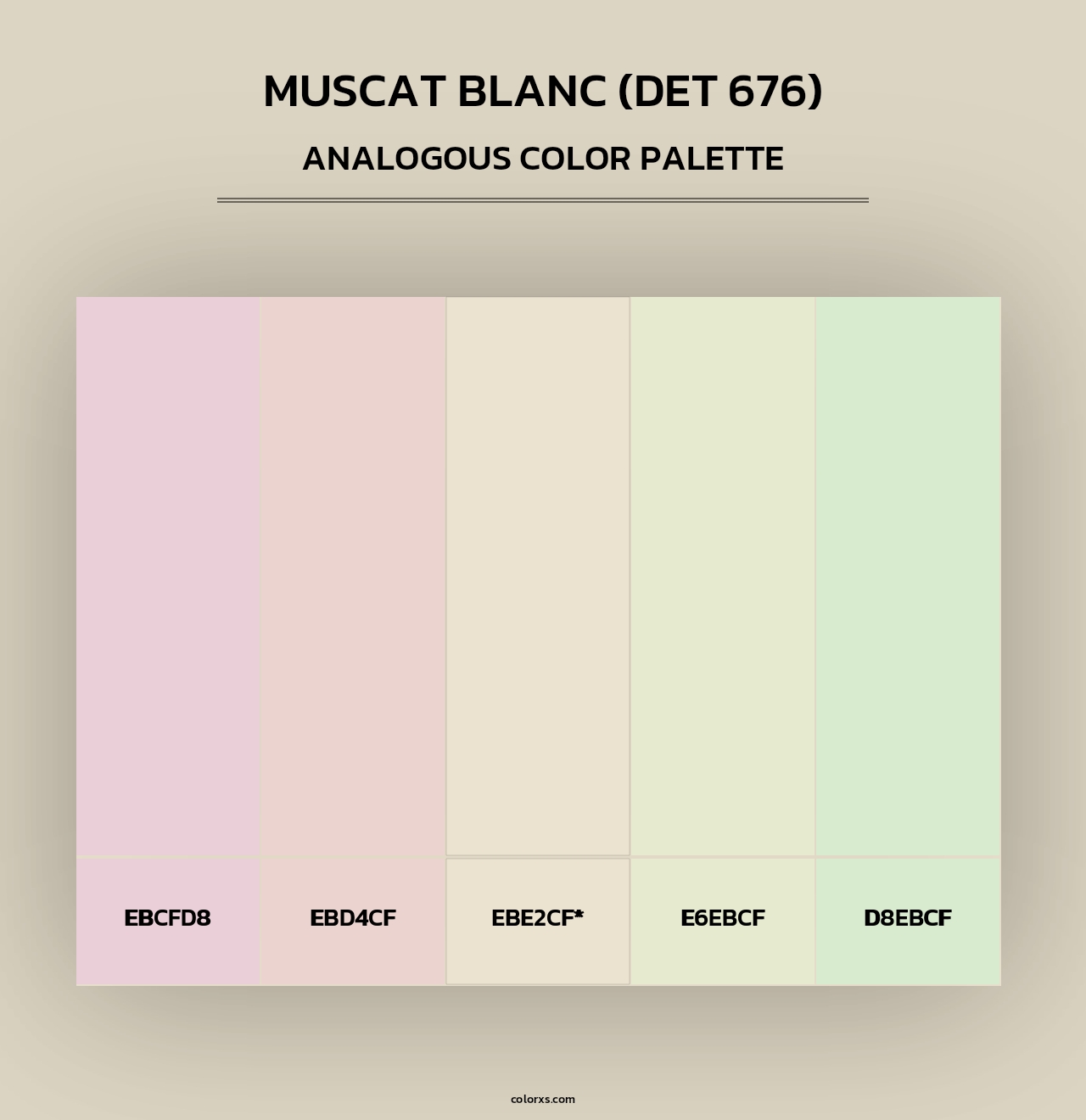 Muscat Blanc (DET 676) - Analogous Color Palette