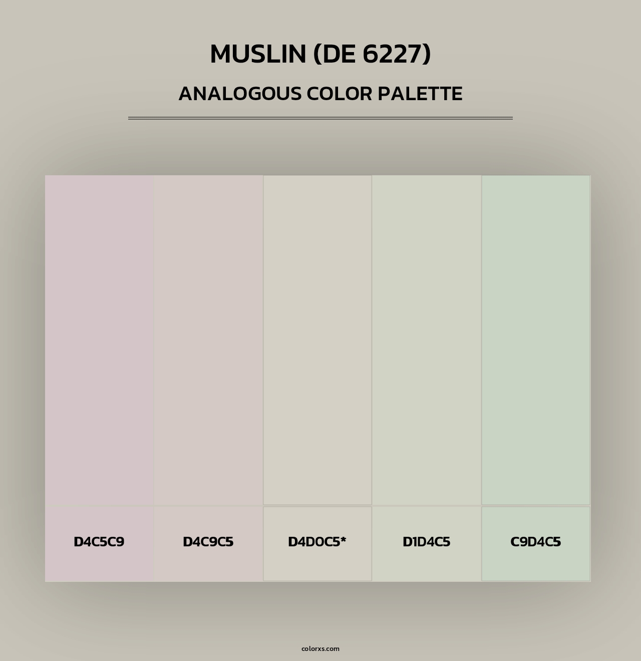 Muslin (DE 6227) - Analogous Color Palette