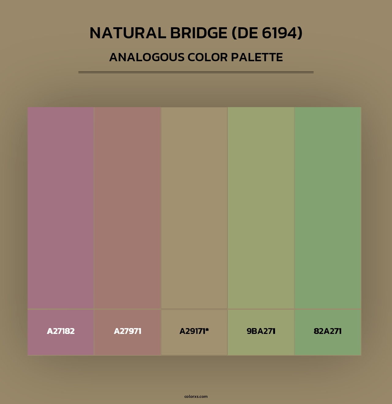 Natural Bridge (DE 6194) - Analogous Color Palette