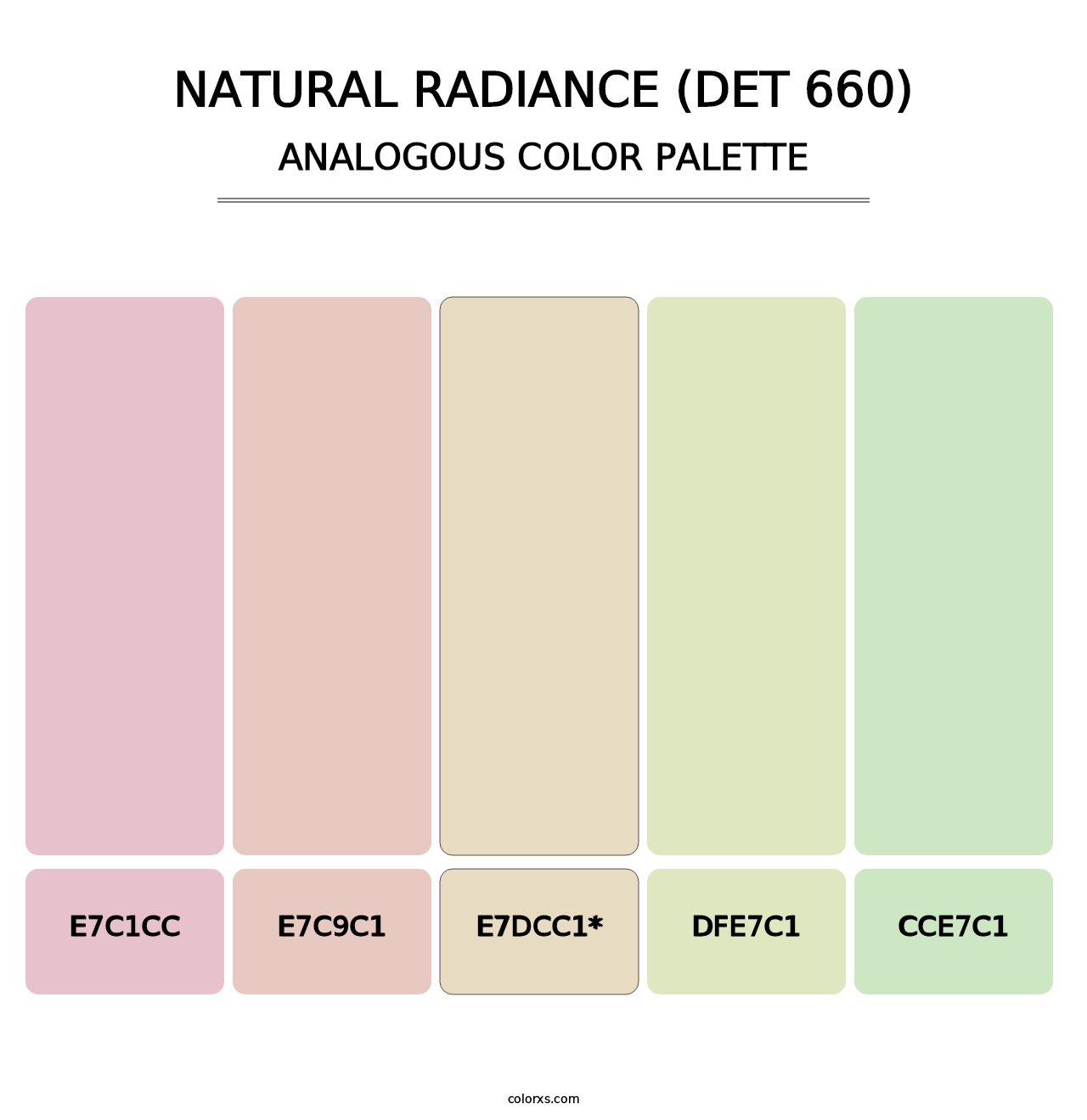 Natural Radiance (DET 660) - Analogous Color Palette