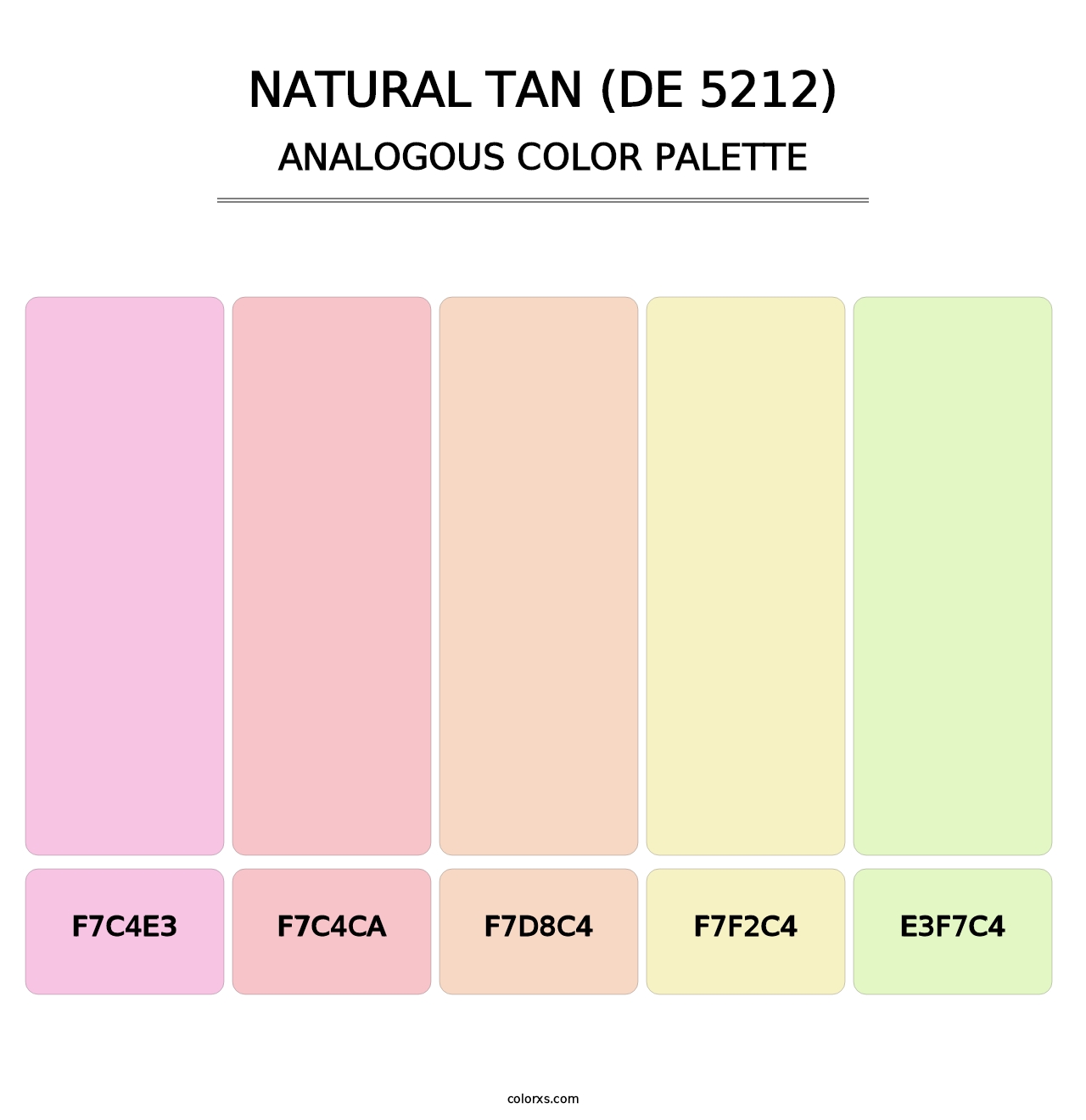 Natural Tan (DE 5212) - Analogous Color Palette