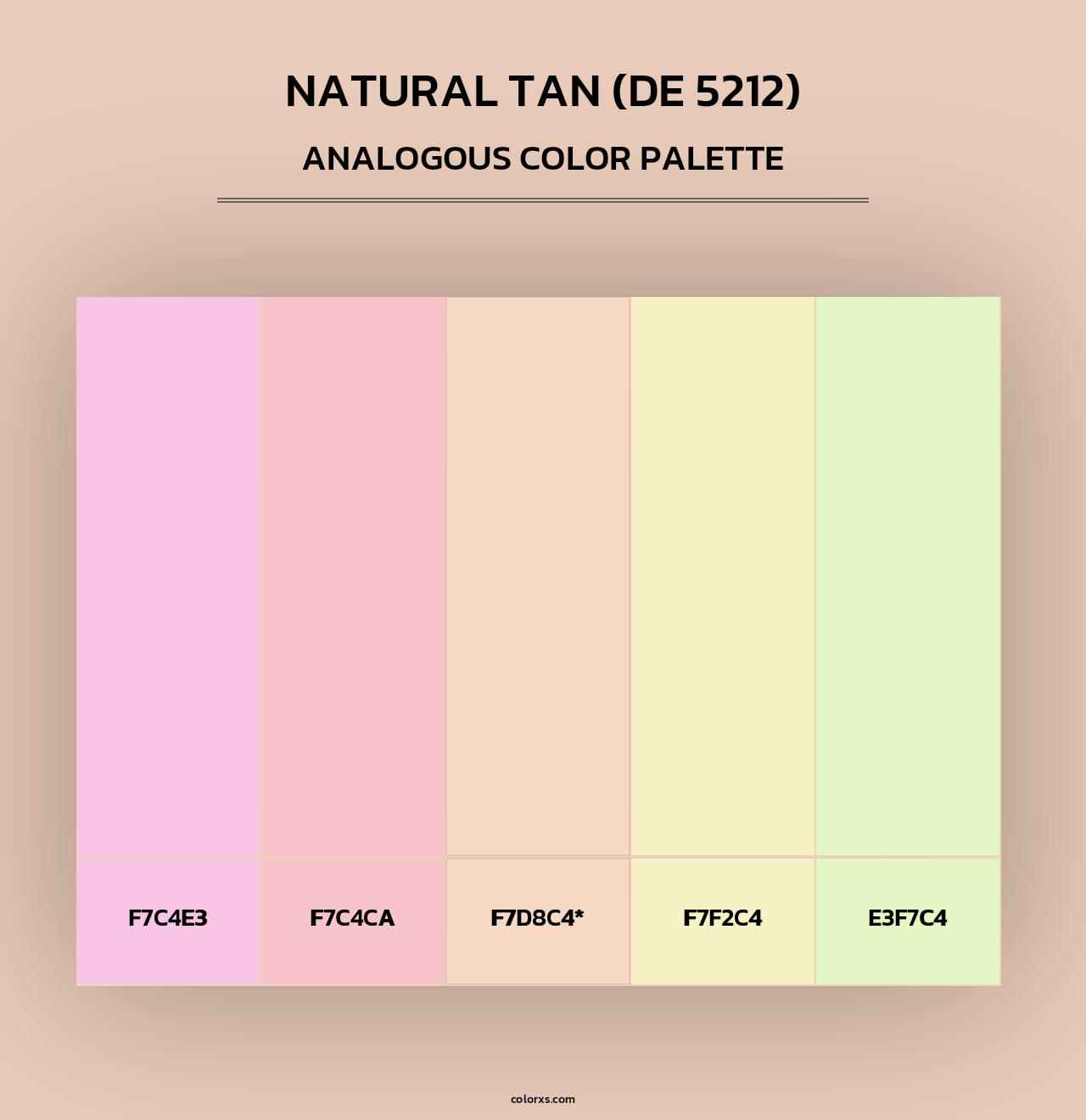 Natural Tan (DE 5212) - Analogous Color Palette