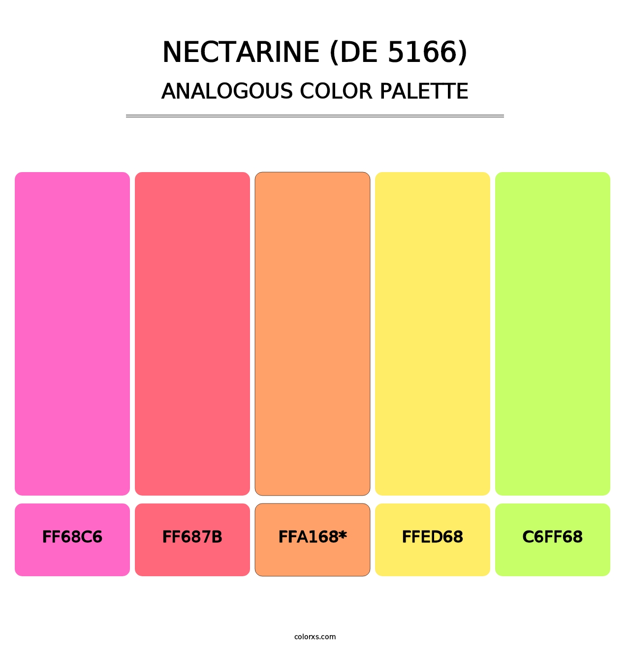 Nectarine (DE 5166) - Analogous Color Palette